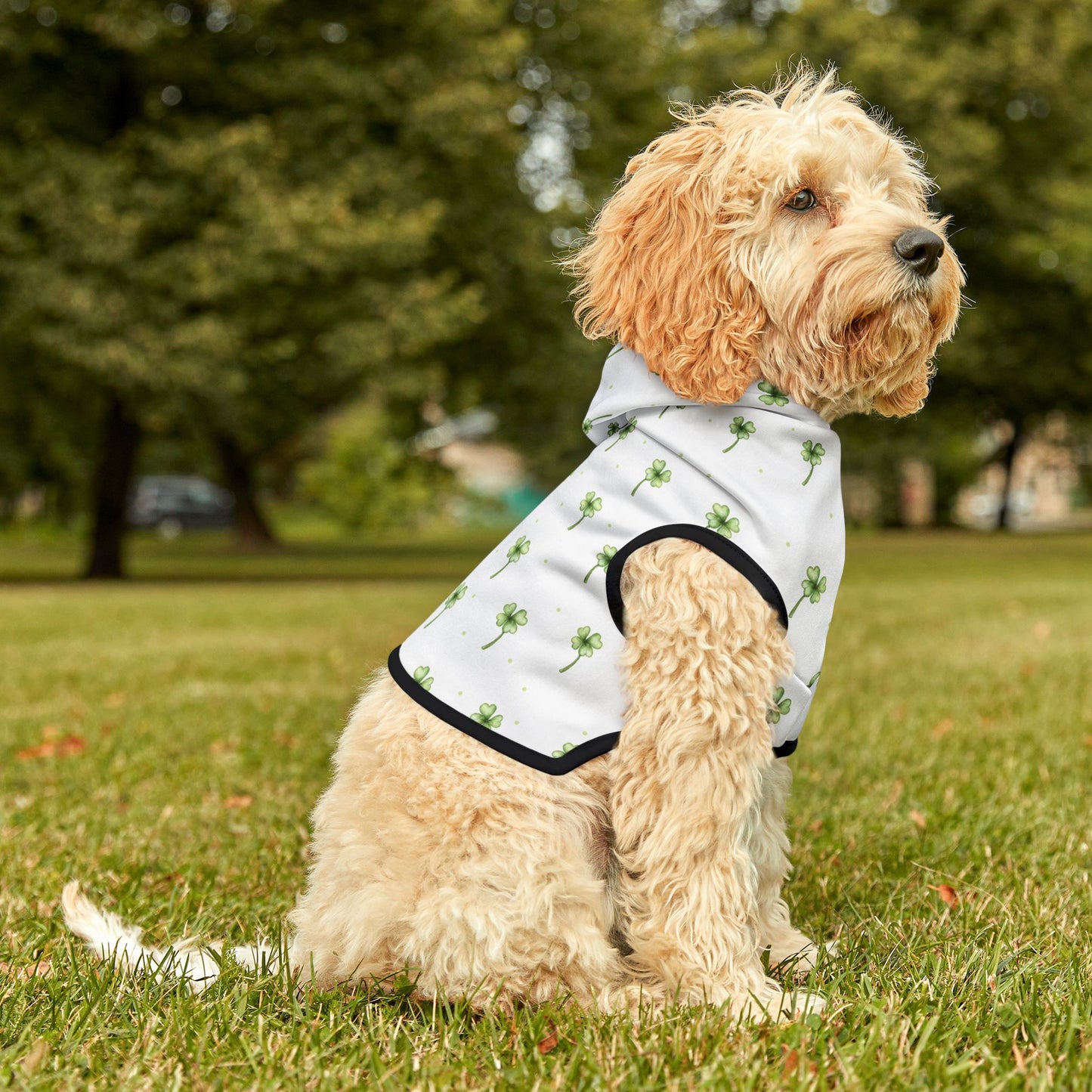 Lucky Clover Pet Hoodie π