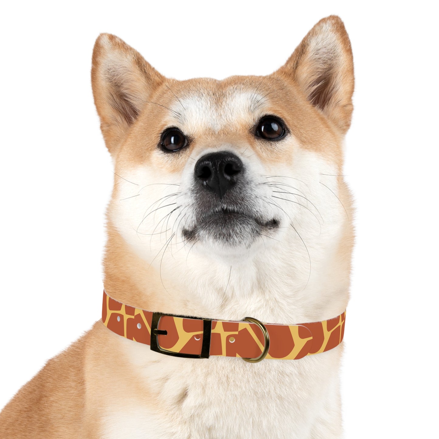 Giraffe Pattern Dog Collar π¦