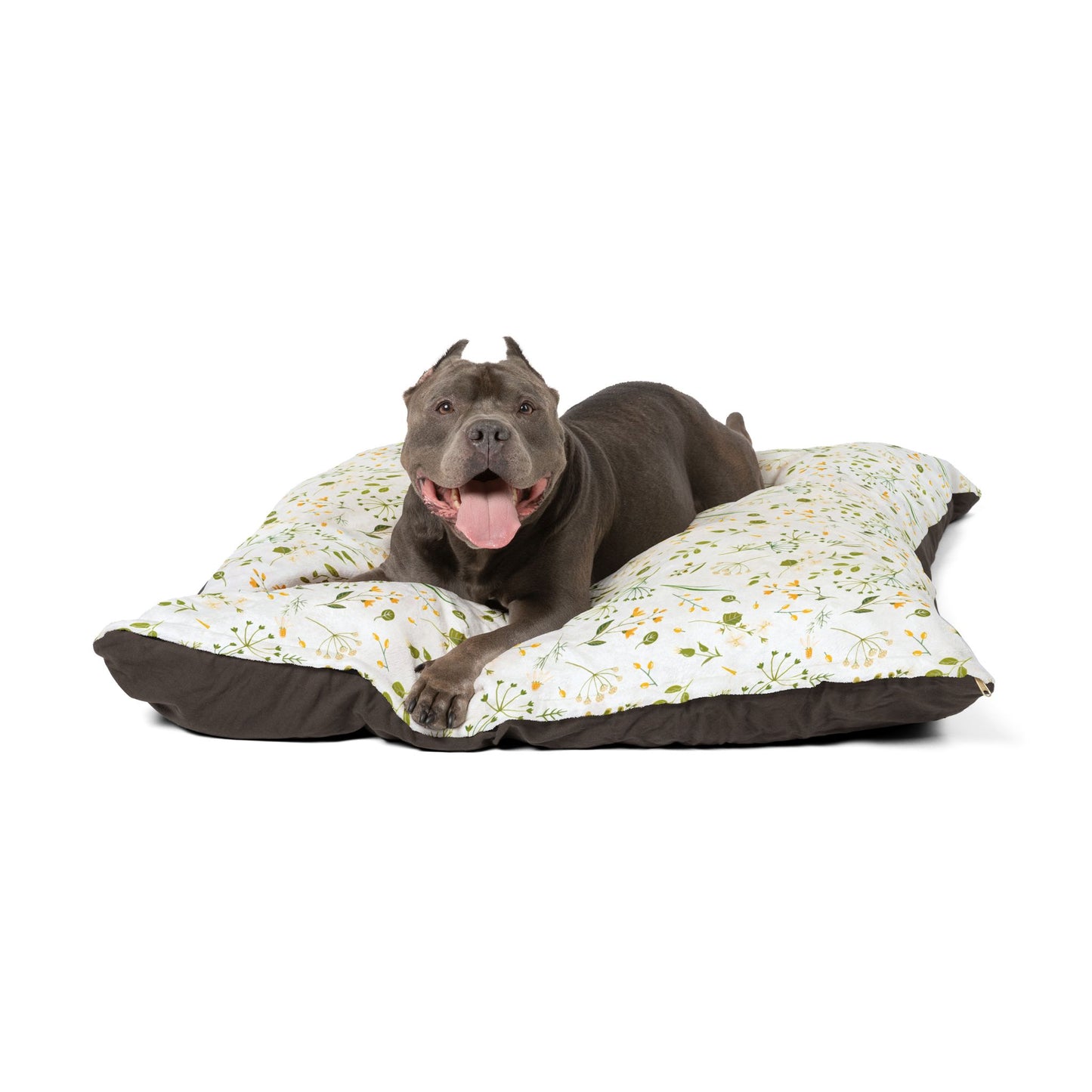 Spring Vibes Pet Bed🌿