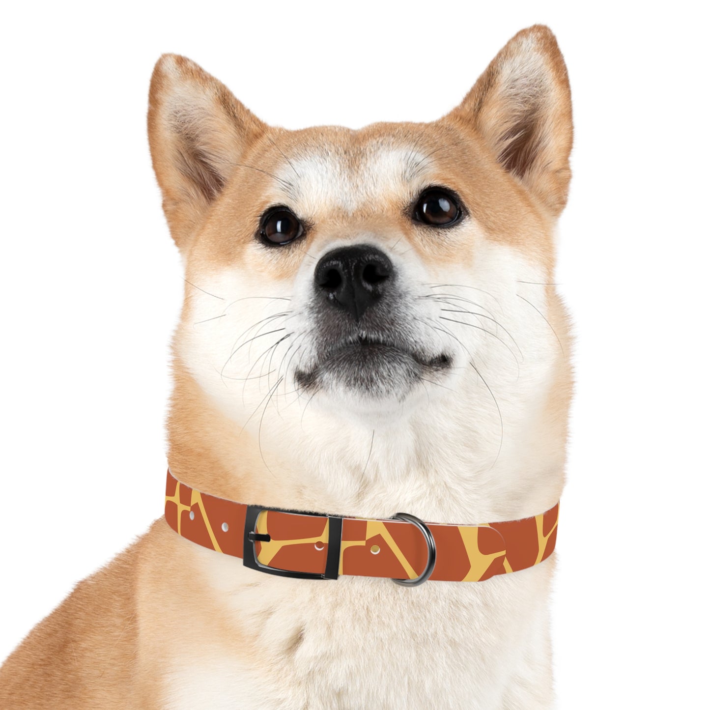Giraffe Pattern Dog Collar π¦