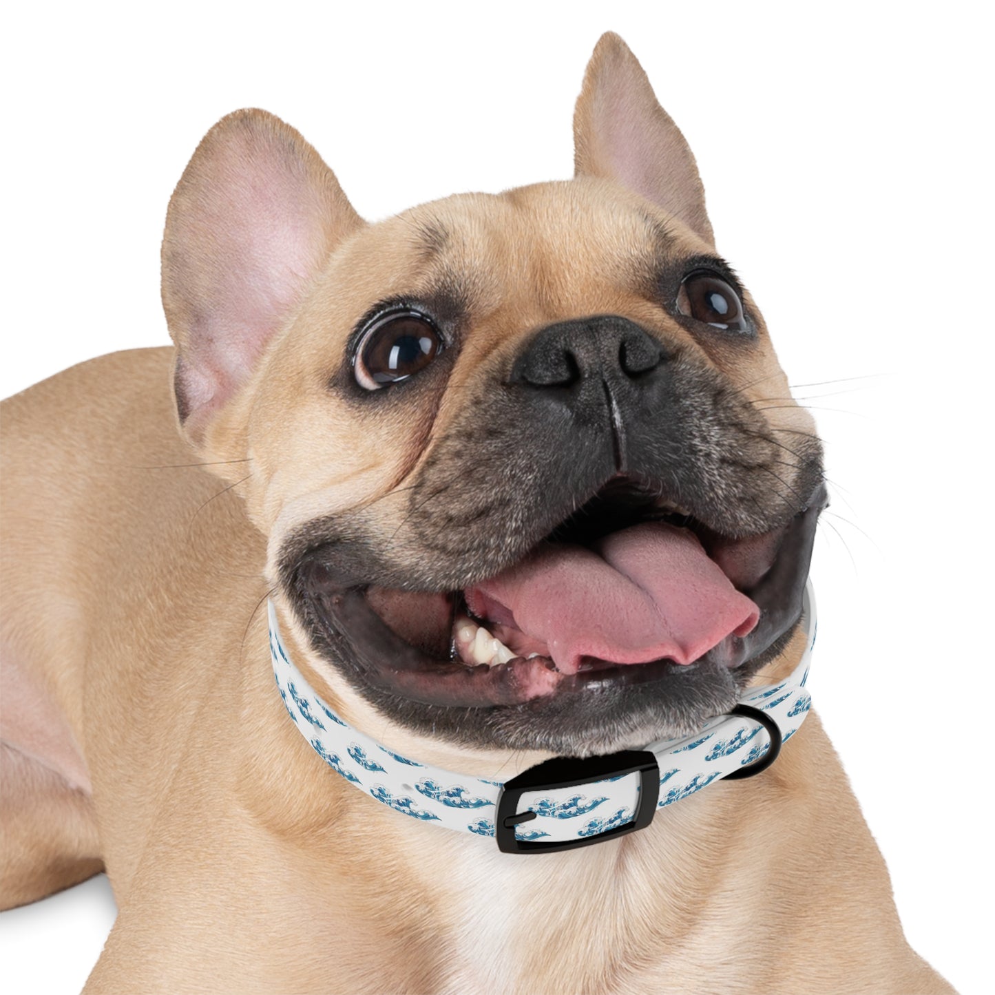 Wave Pattern Dog Collar π