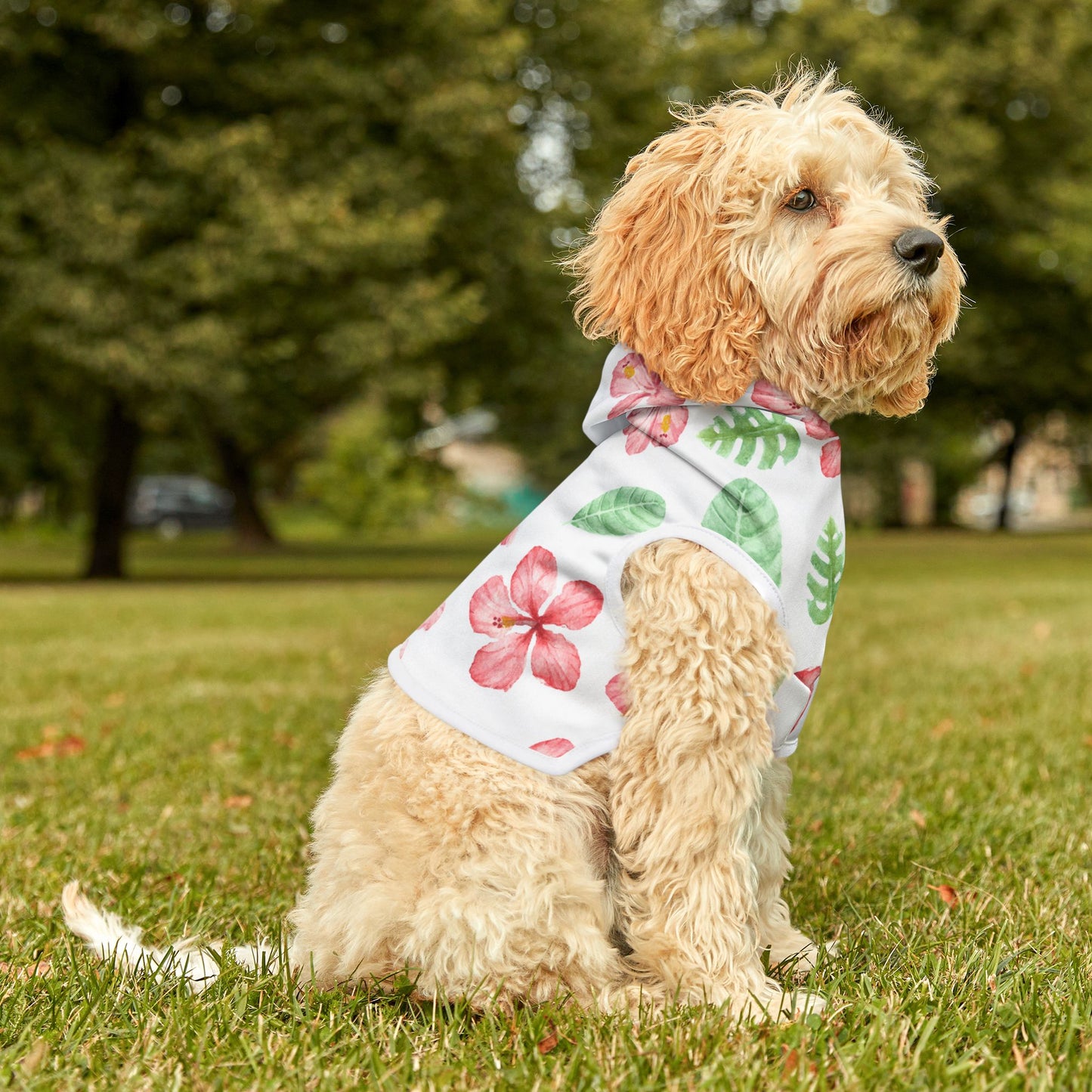 Tropical Floral Pet Hoodie ๐บ
