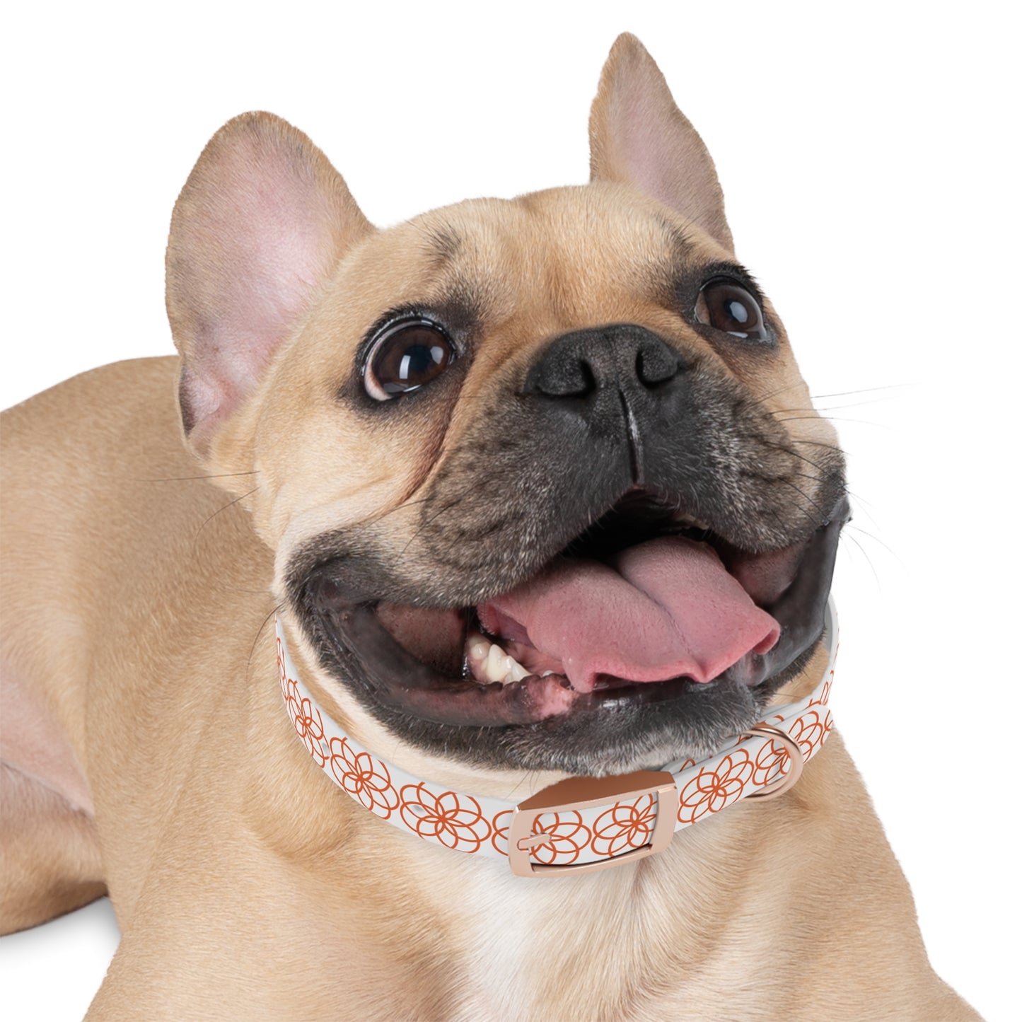 Flower of Life Dog Collar 🌼