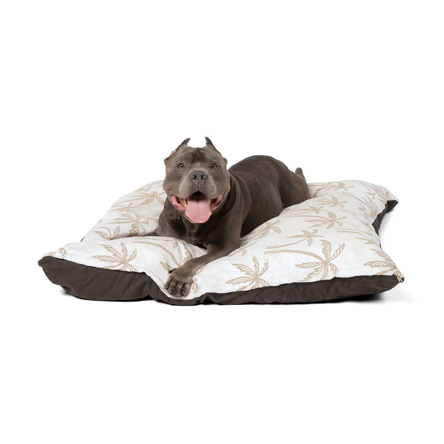 Calm Palm Pet Bed 🌴