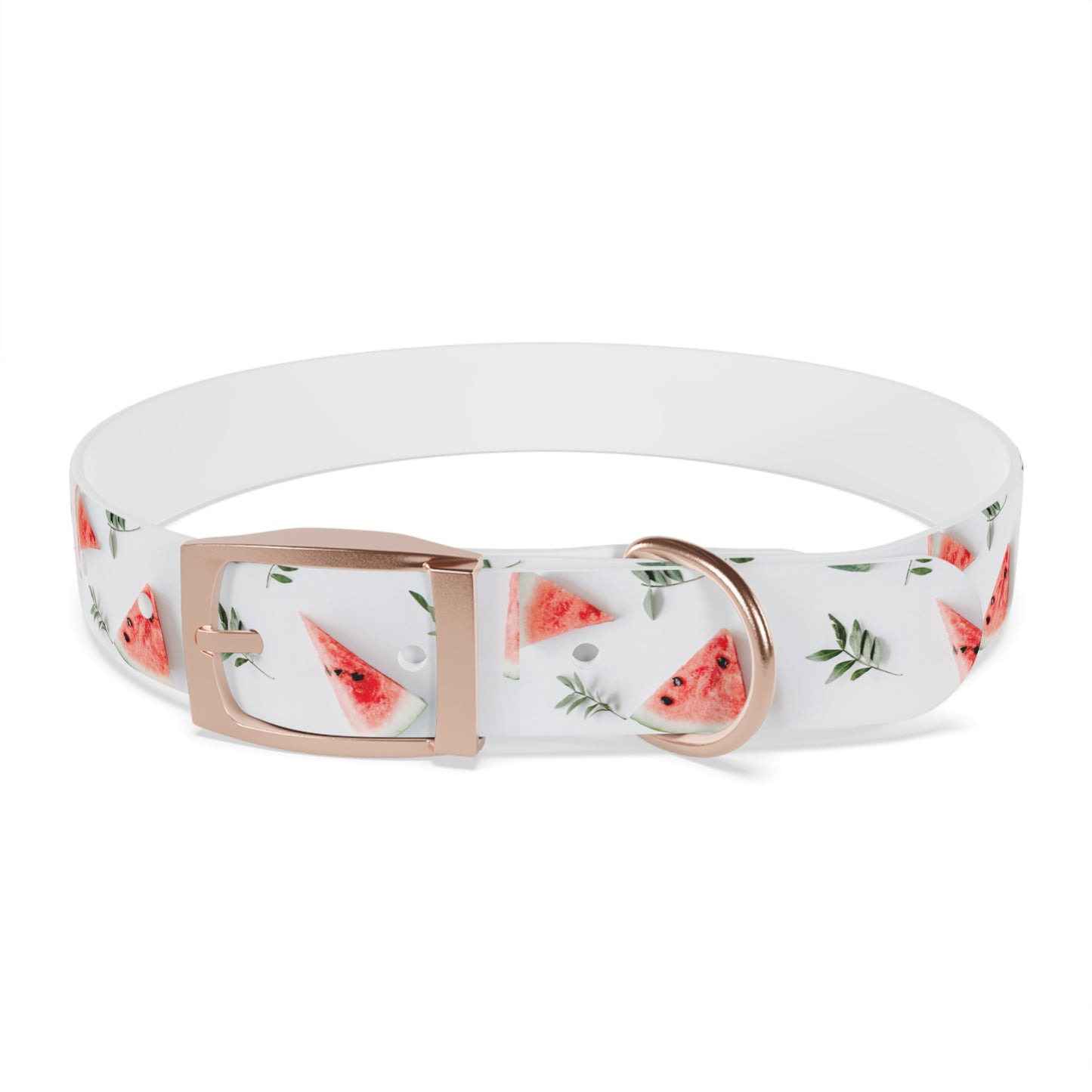 Watermelon Dog Collar π