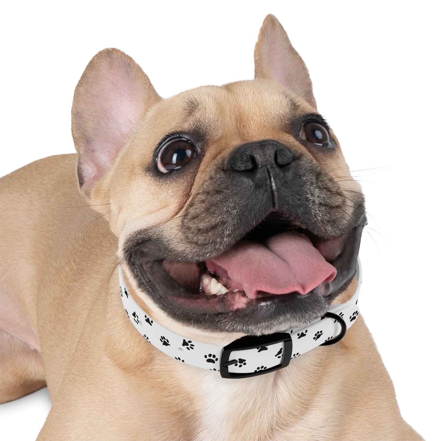 Paw Print Dog Collar 🐾
