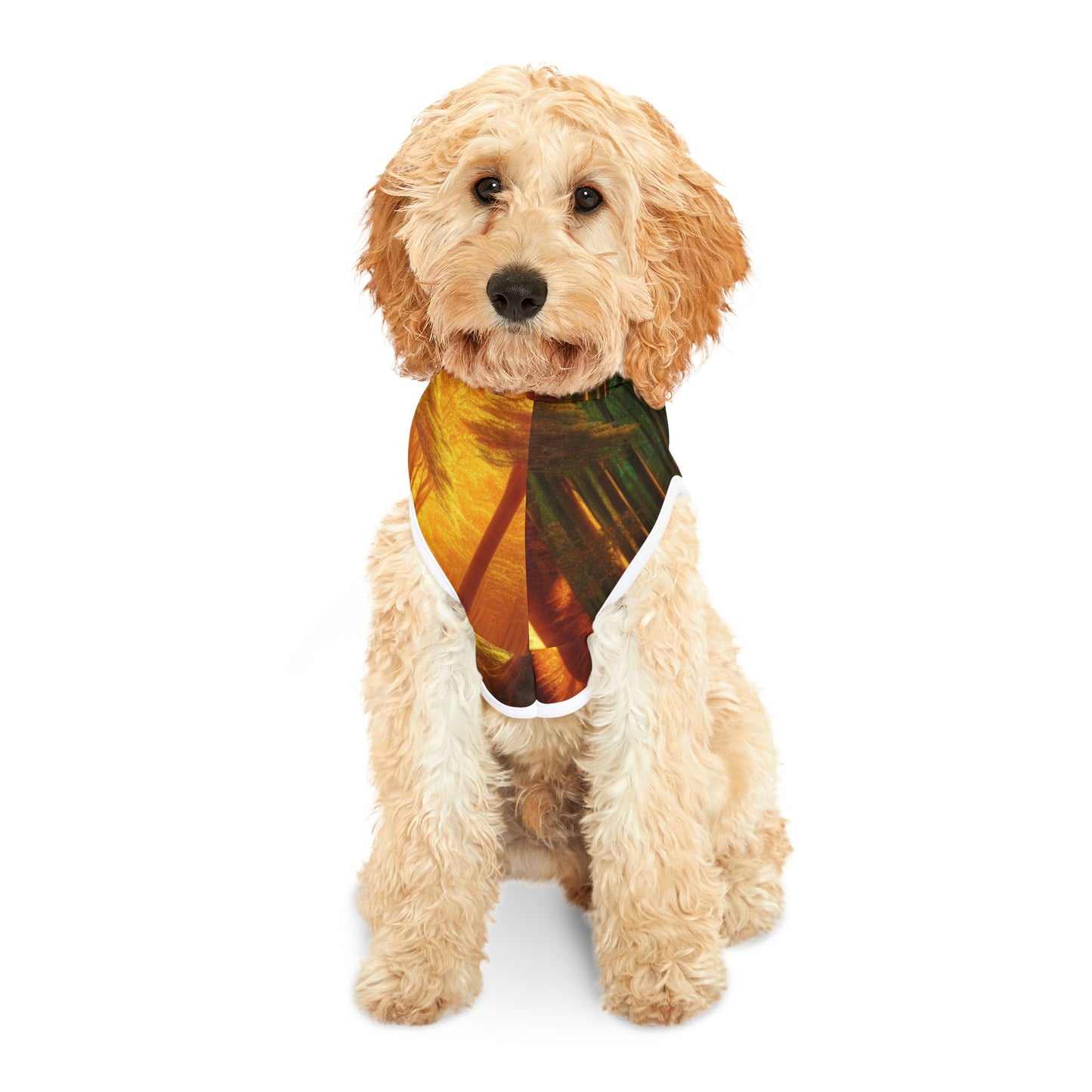 Tranquil Forest Pet Hoodie π²