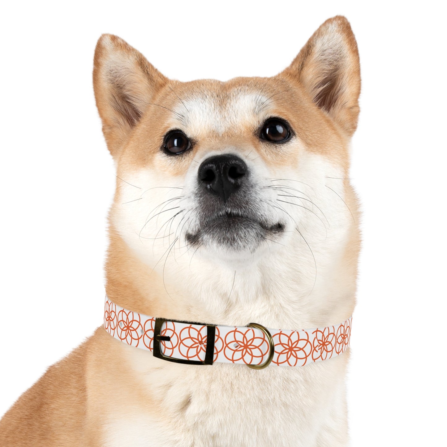 Flower of Life Dog Collar 🌼
