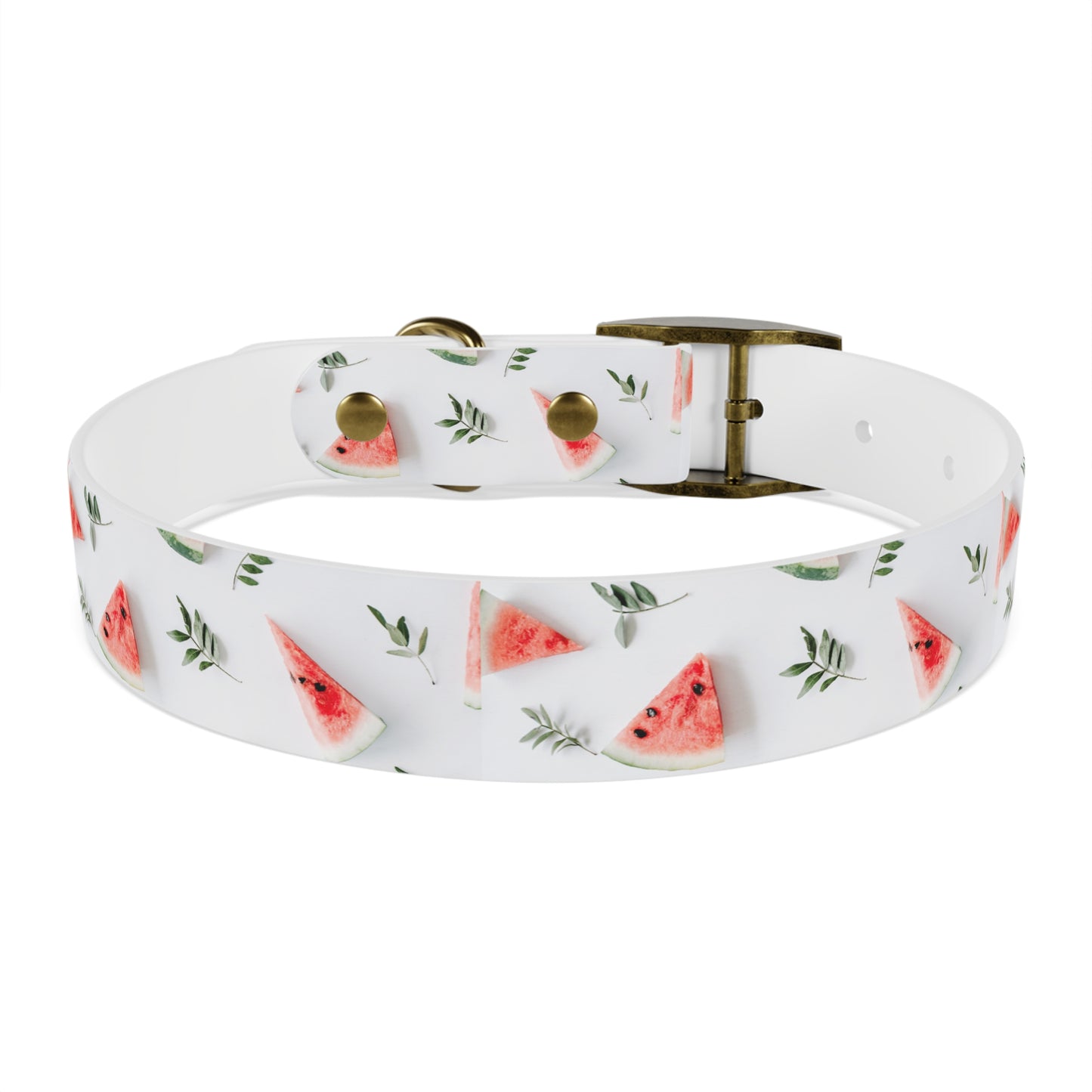 Watermelon Dog Collar π