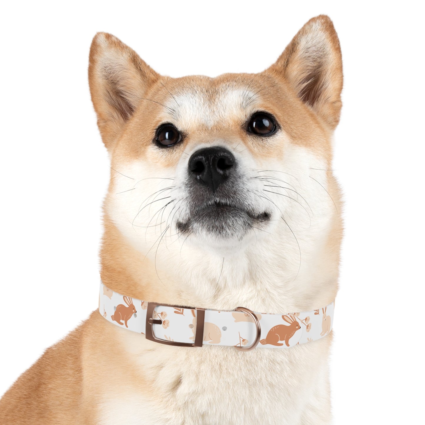 Rabbit Dog Collar 🐰