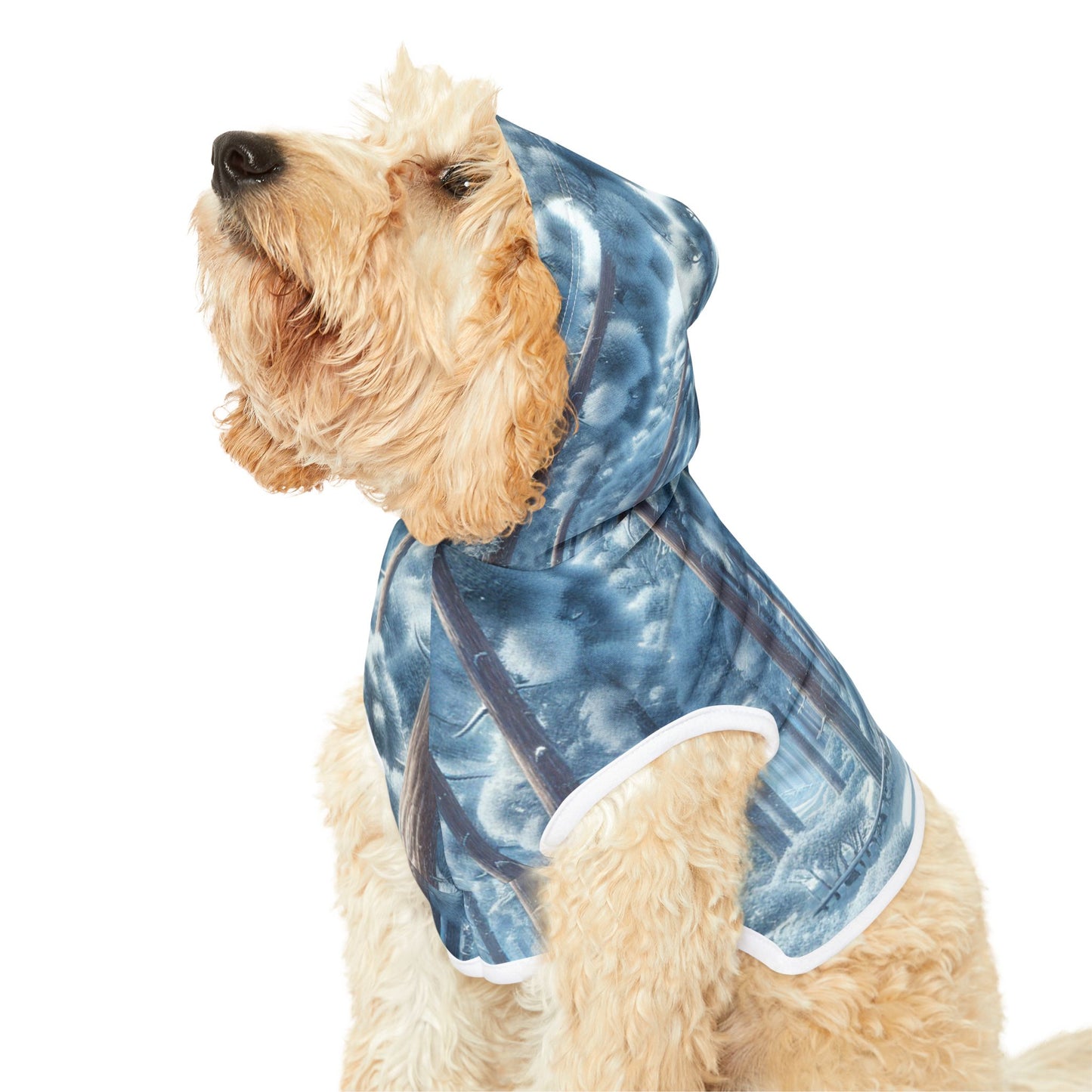 Snowy Forest Pet Hoodie βοΈπ²