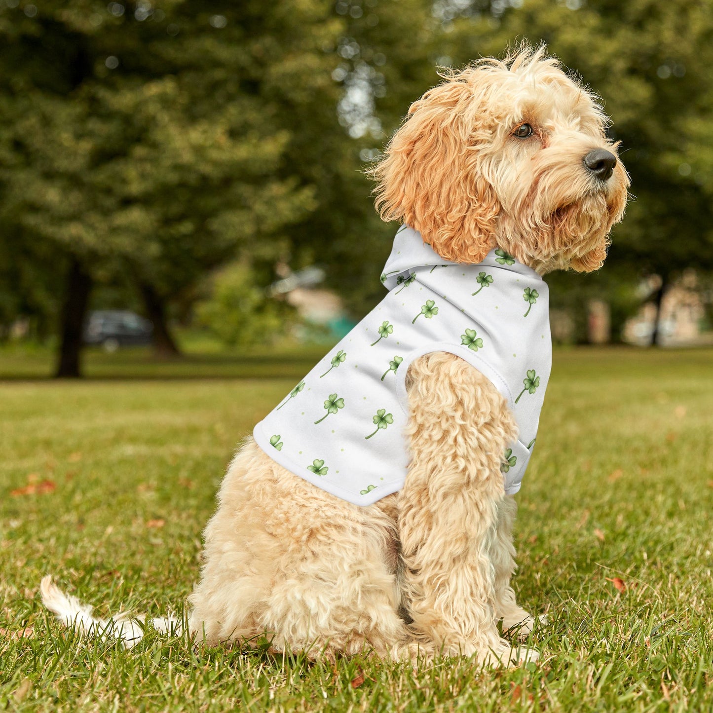 Lucky Clover Pet Hoodie π