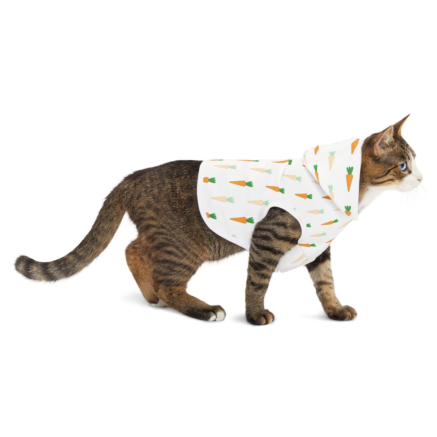 Carrot Pet Hoodie π₯