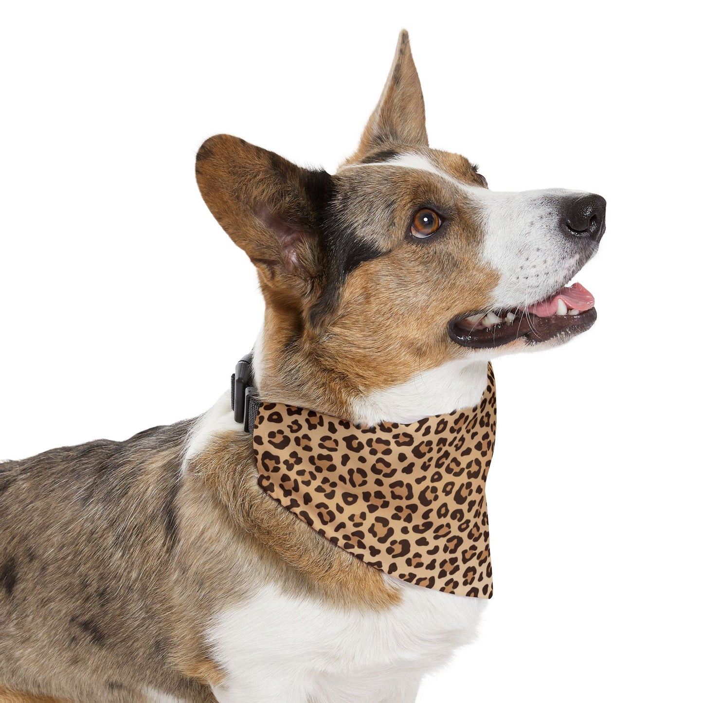 Leopard Print Pet Bandana Collar ๐