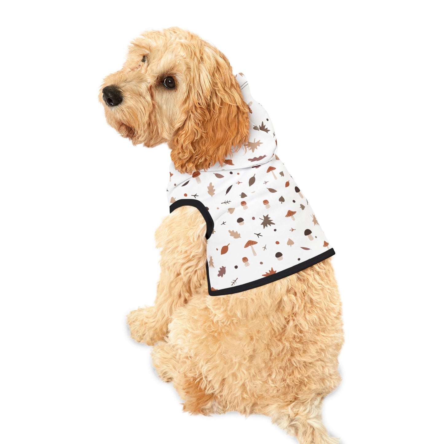 Falling for Fall Pet Hoodie π