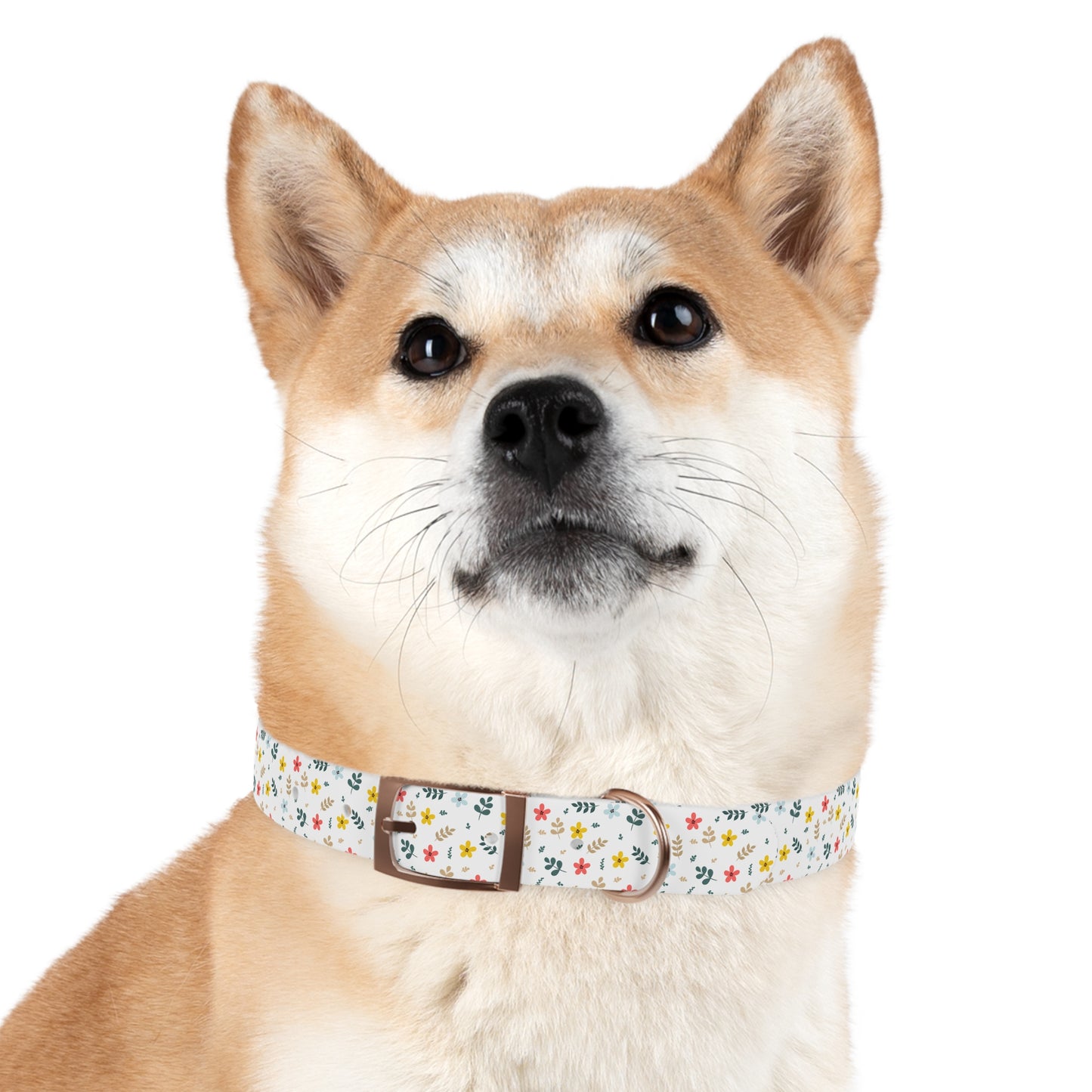 Little Wildflowers Dog Collar 🌼