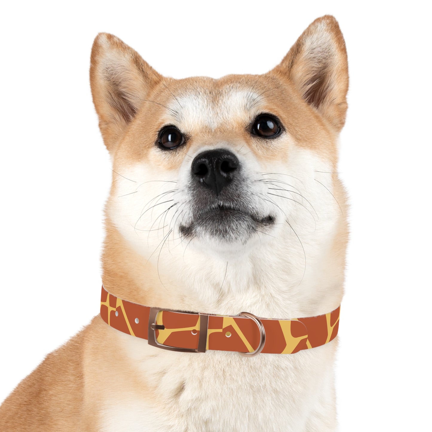 Giraffe Pattern Dog Collar π¦