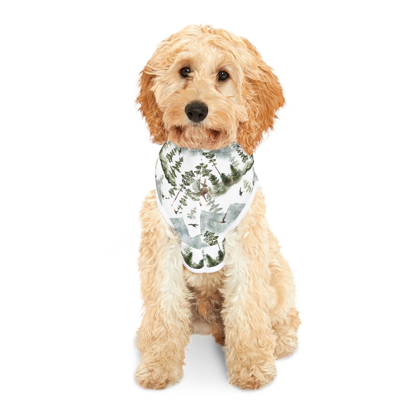 Cozy Woodland Pet Hoodie π²π¦