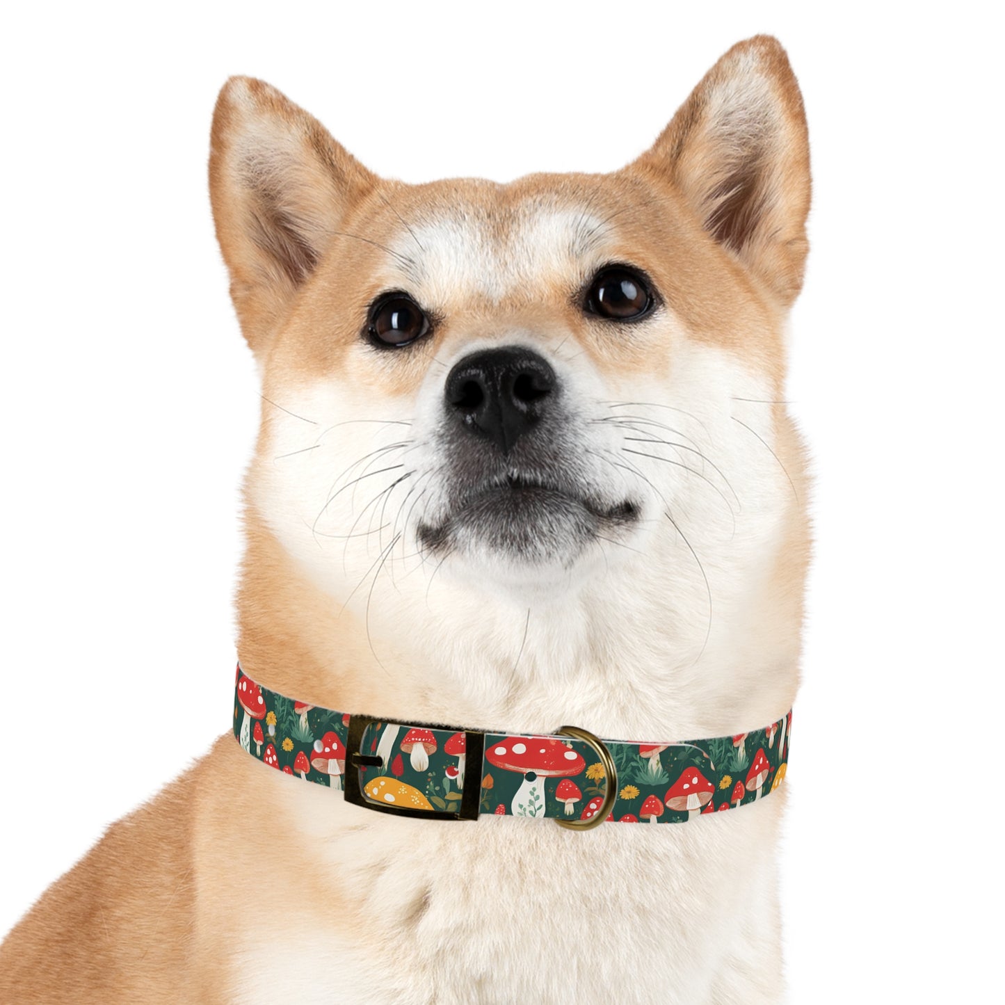Mushroom Masterpiece Dog Collar π