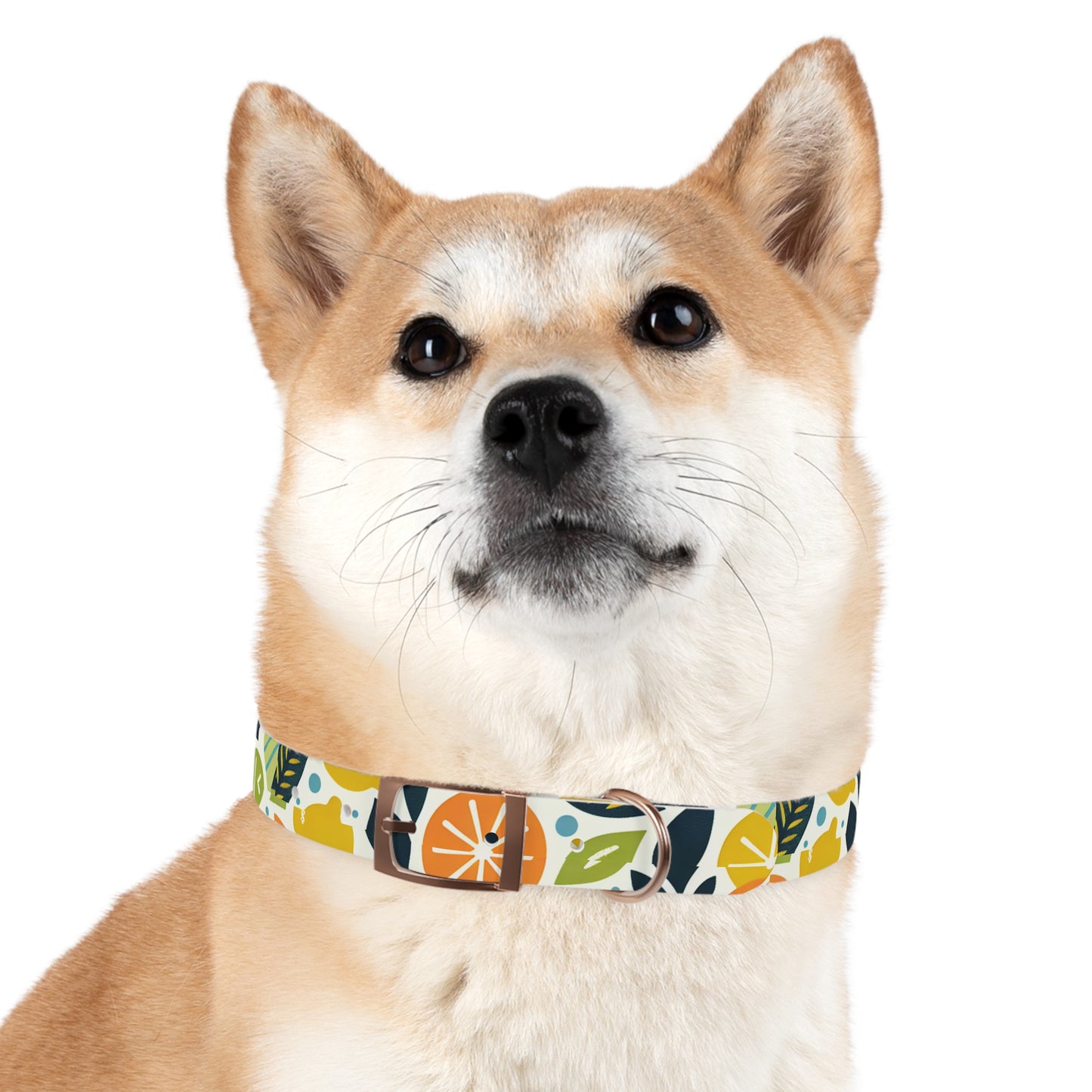 Citrus Dog Collar π