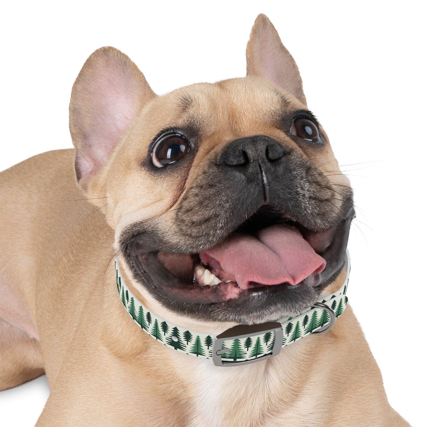 Pine Tree Dog Collar 🌲