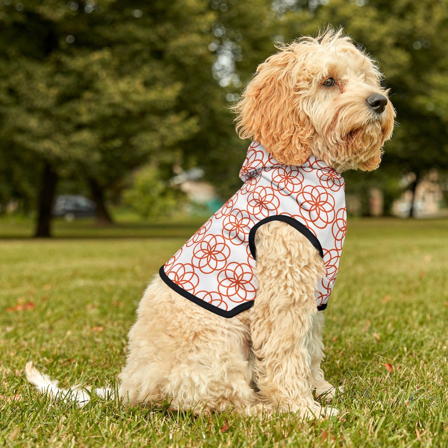 Flower of Life Pet Hoodie ๐ธ