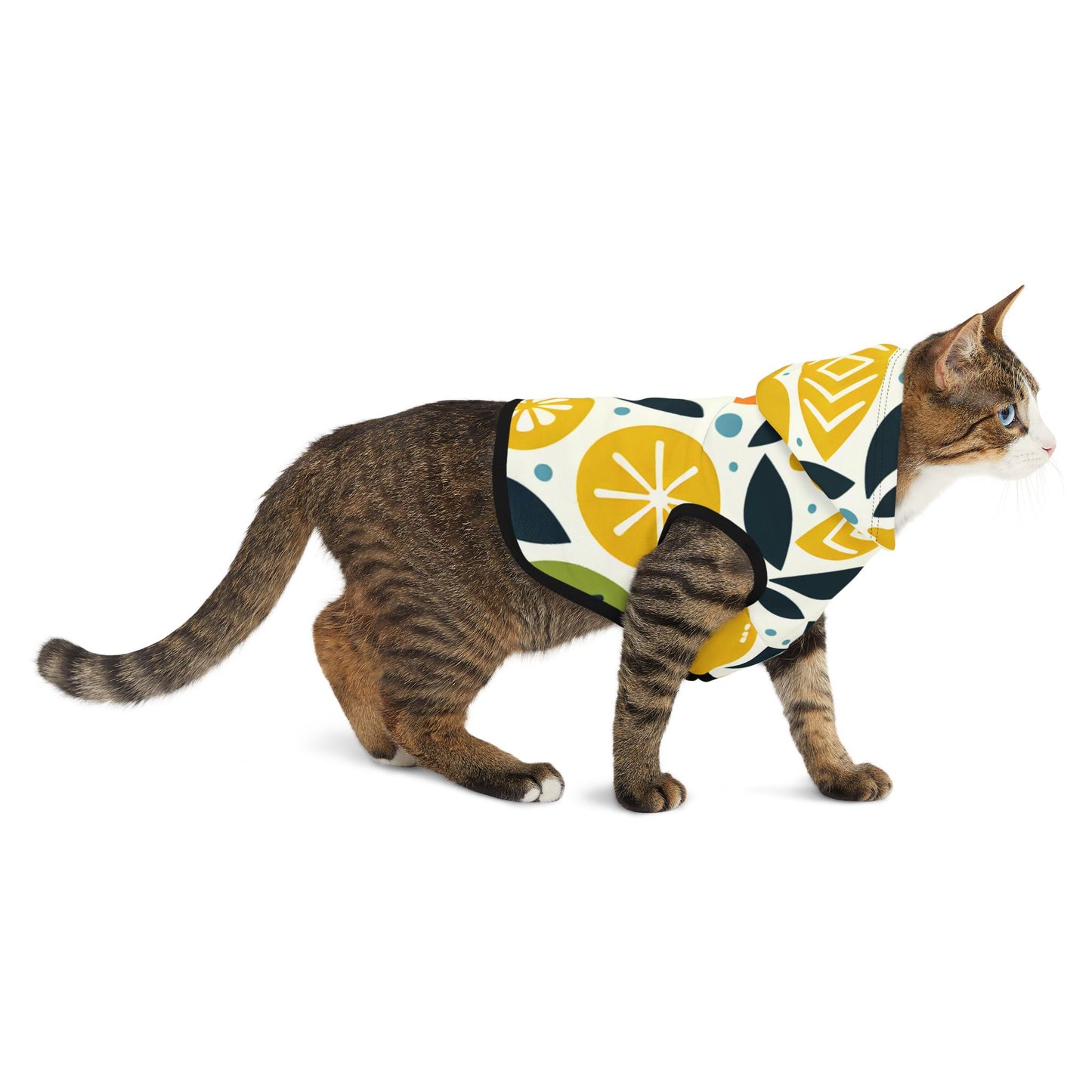 Citrus Pet Hoodie π