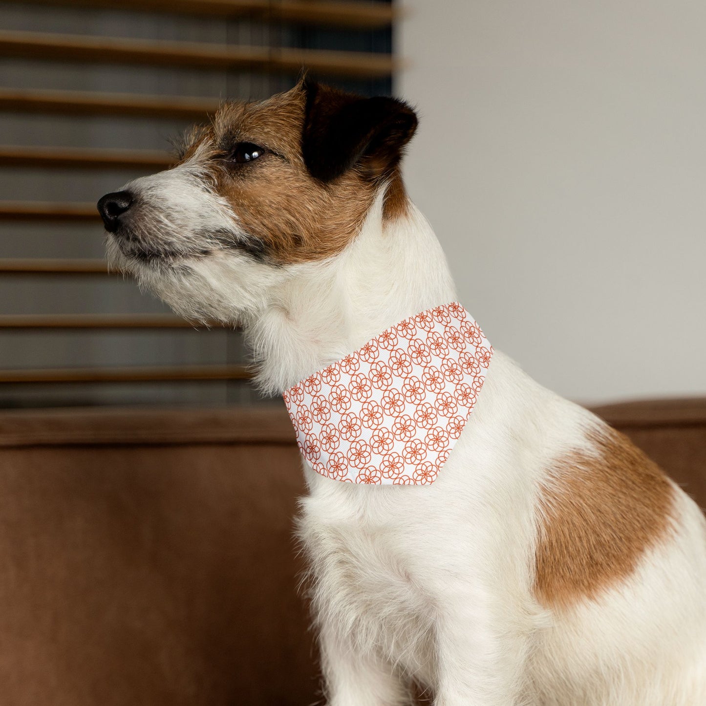 Flower of Life Pet Bandana Collar 🌸