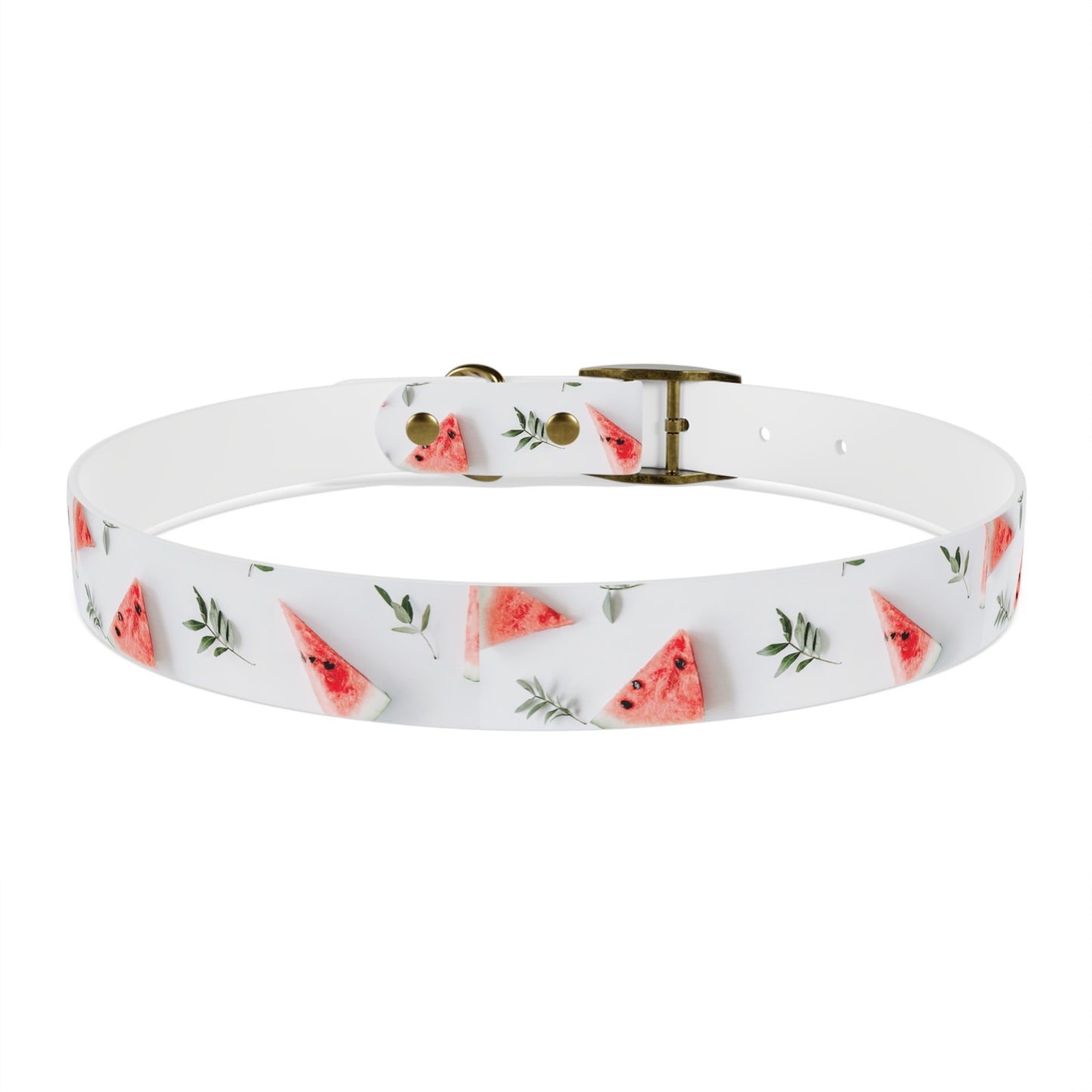 Watermelon Dog Collar π