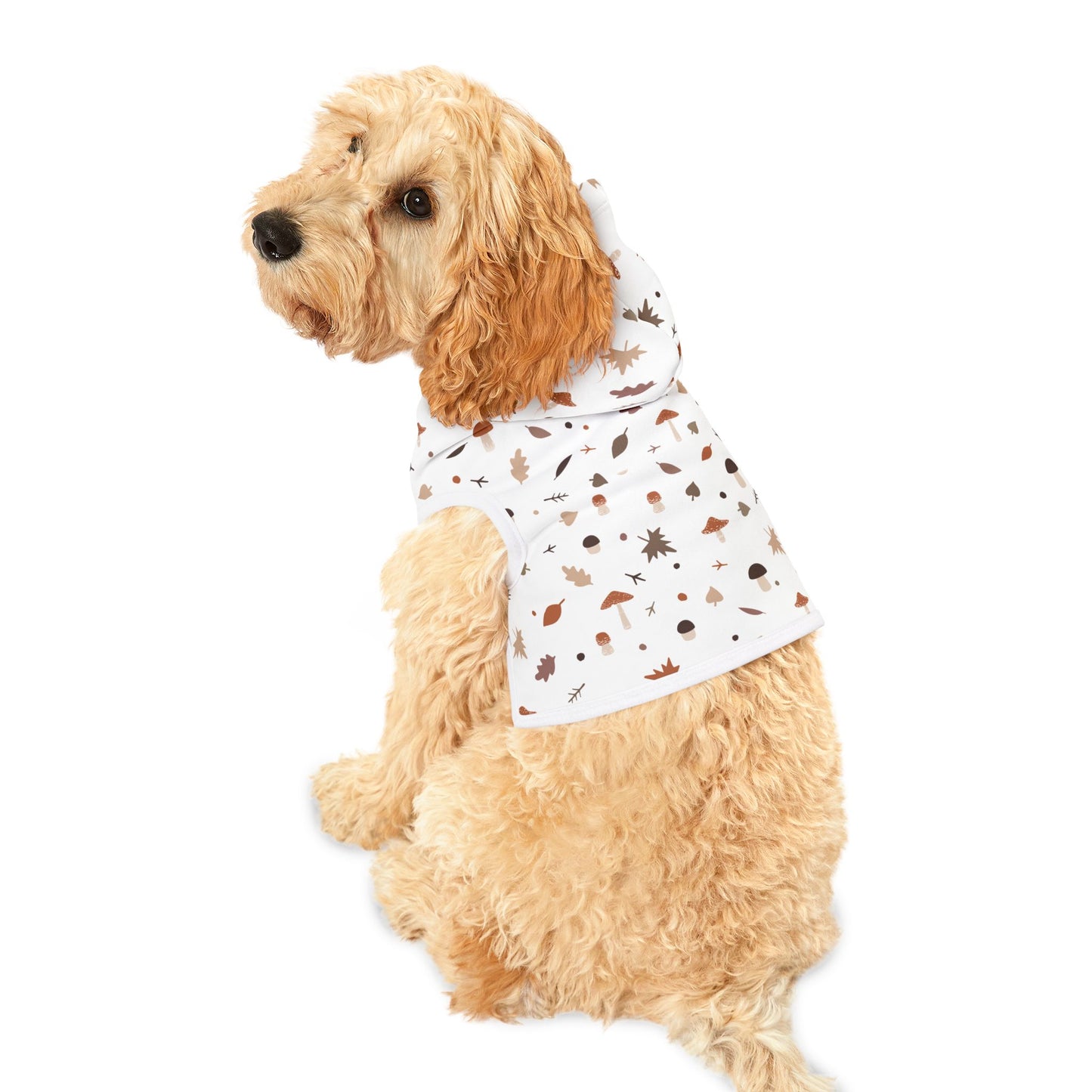 Falling for Fall Pet Hoodie π