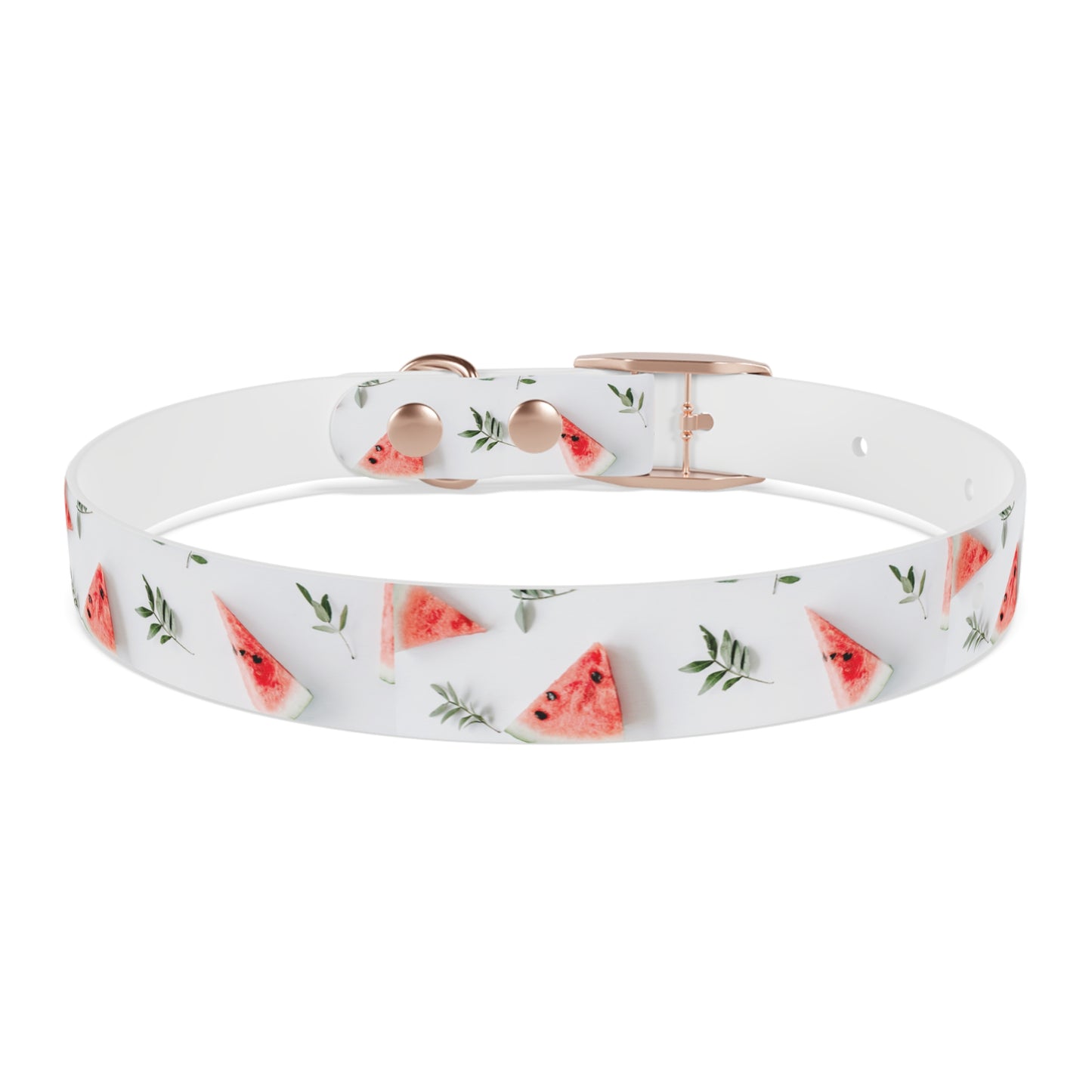 Watermelon Dog Collar π