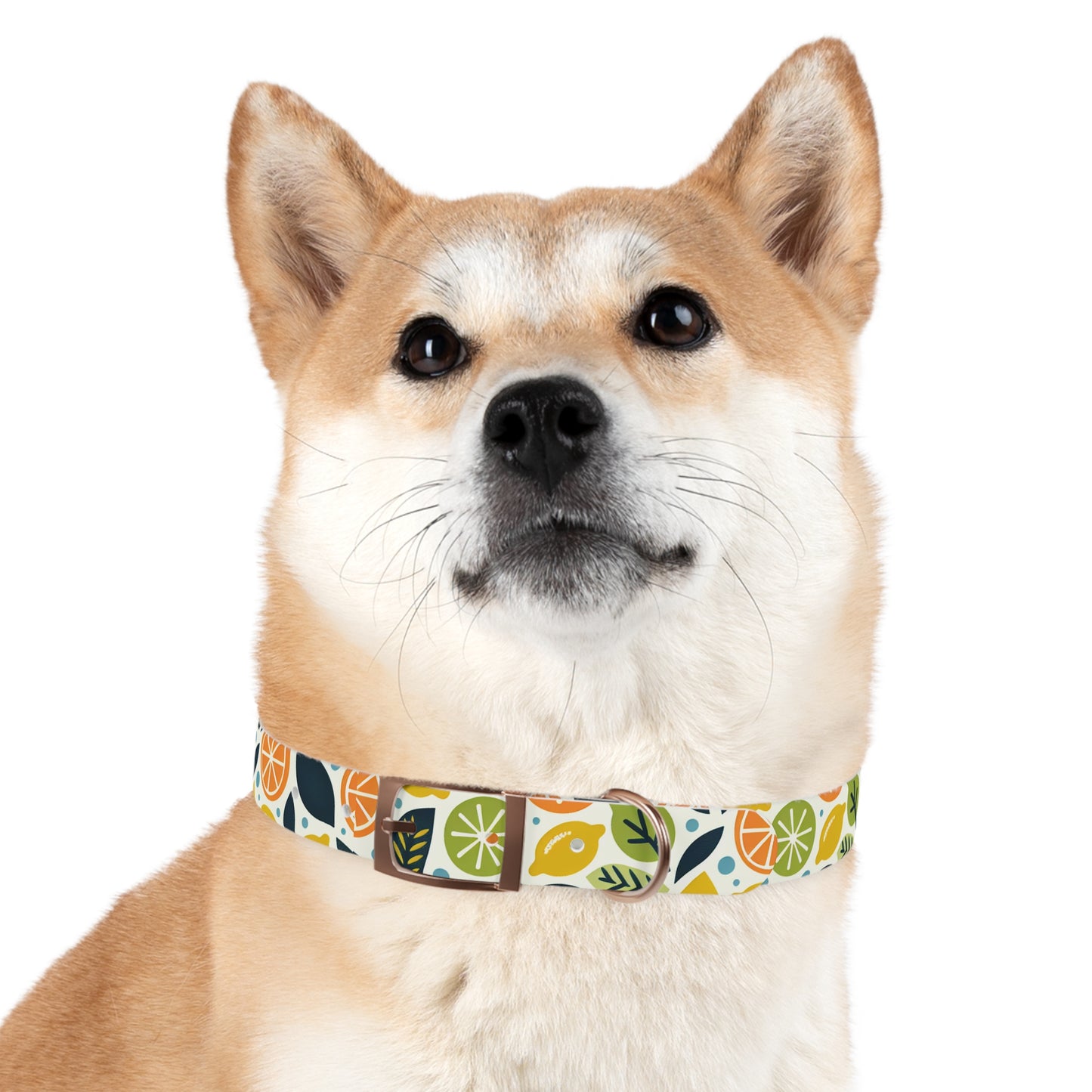 Citrus Dog Collar π