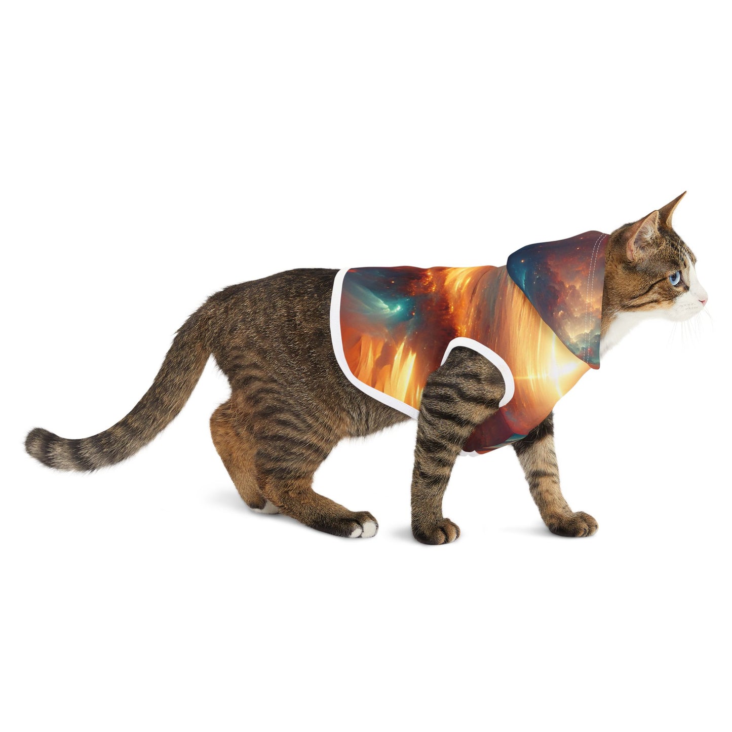 Sunlight Desert Space Pet Hoodie π΅