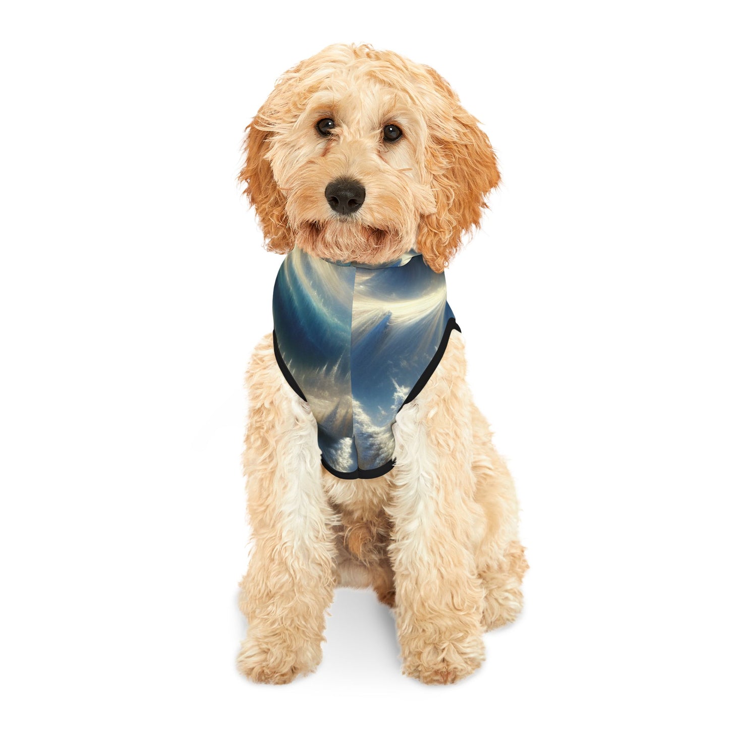 Mysterious Snowy Mountains Pet Hoodie βοΈποΈ