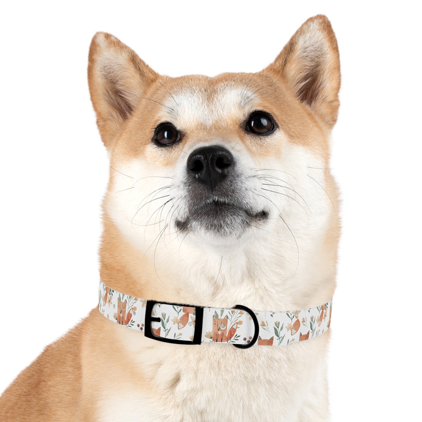 Fox Dog Collar 🦊