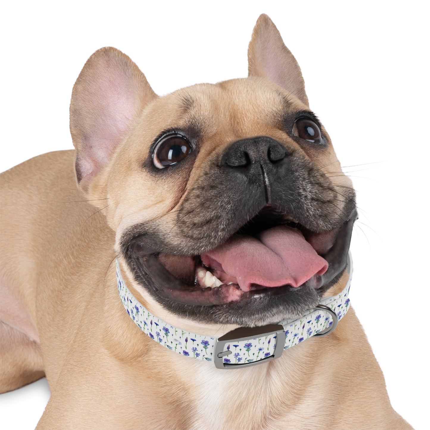 Bluebell Bloom Dog Collar π