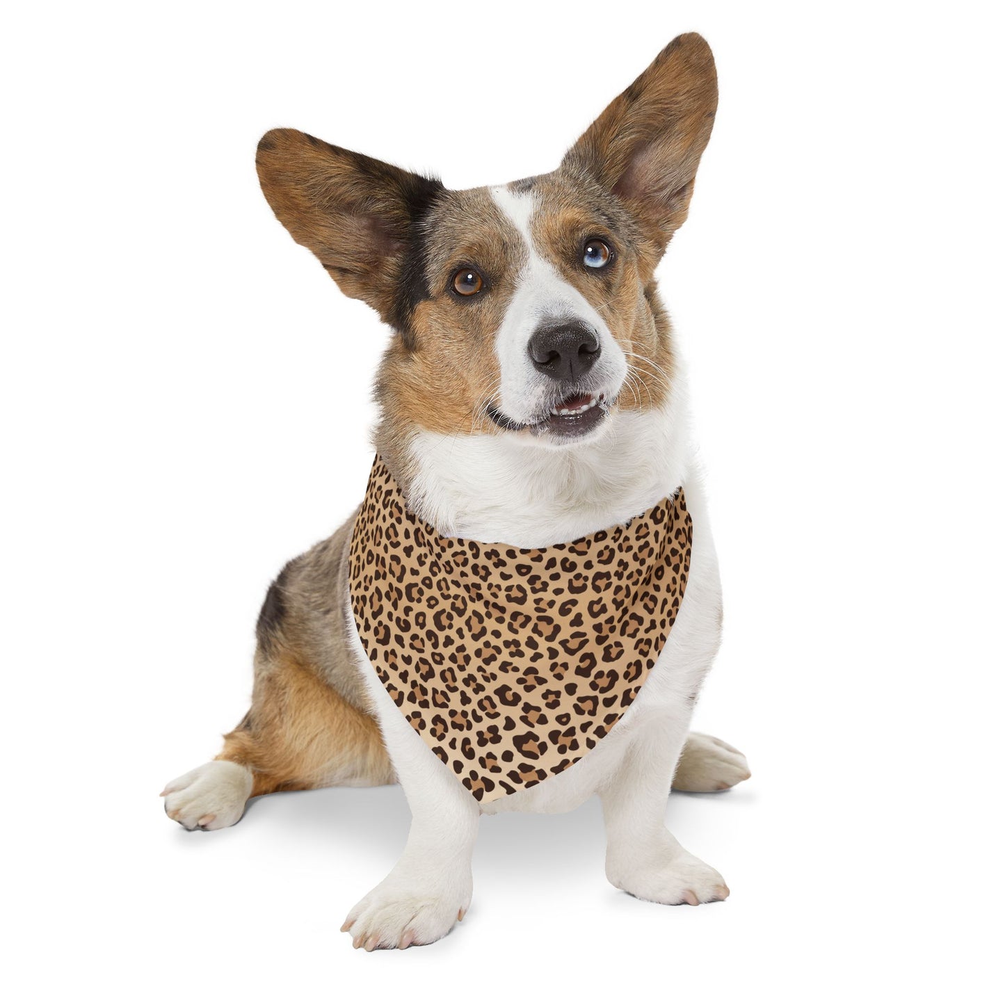 Leopard Print Pet Bandana Collar ๐