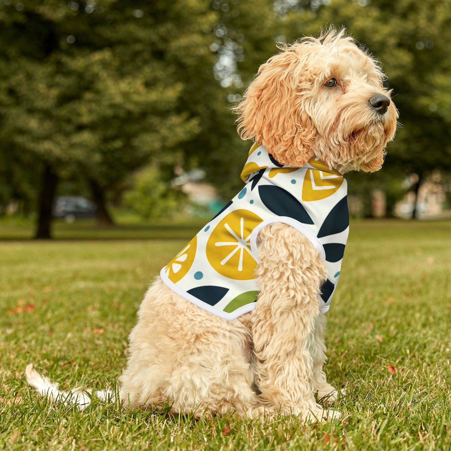 Citrus Pet Hoodie π