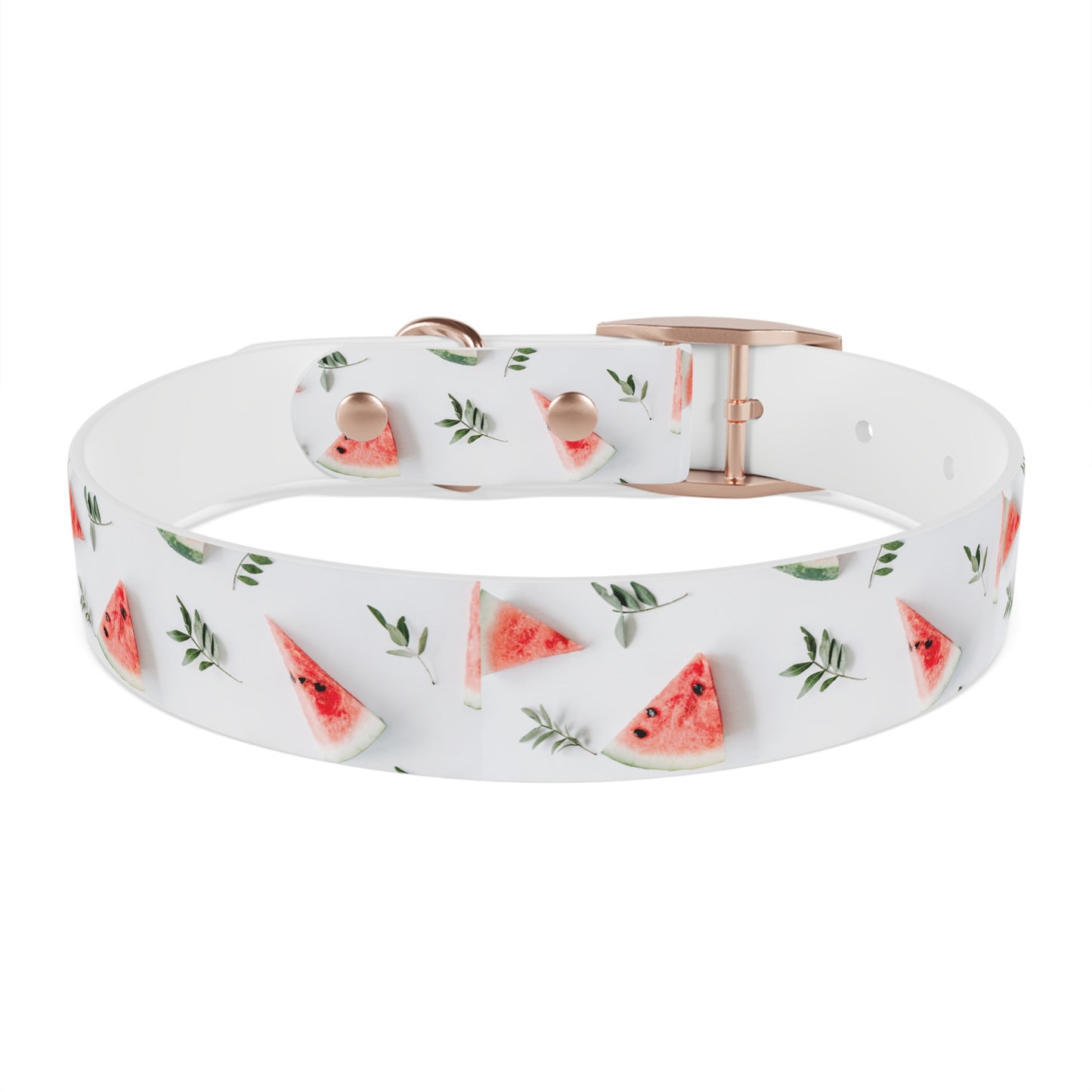 Watermelon Dog Collar π