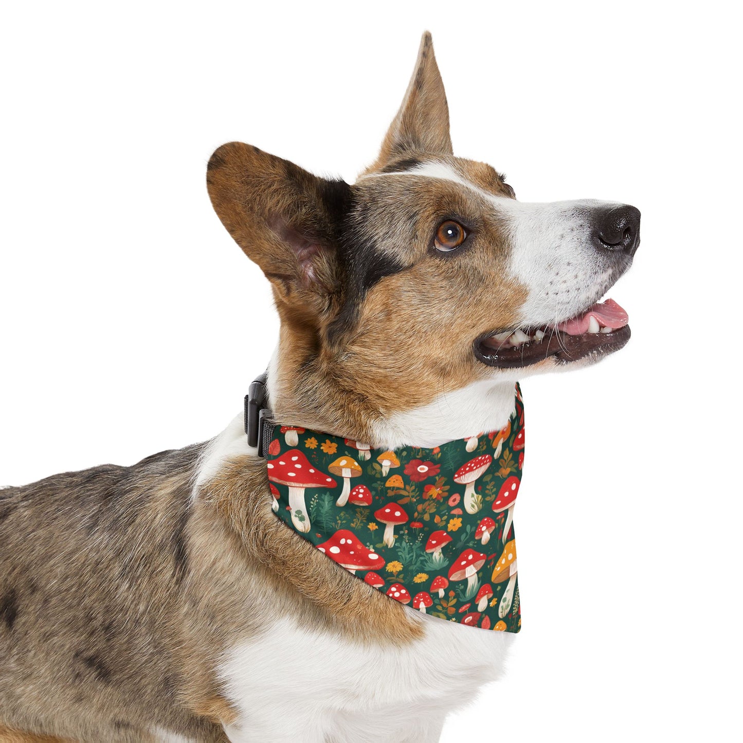 Mushroom Masterpiece Pet Bandana Collar ๐