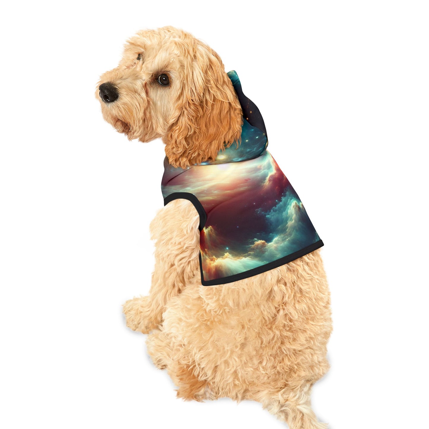 Spacey Pet Hoodie π