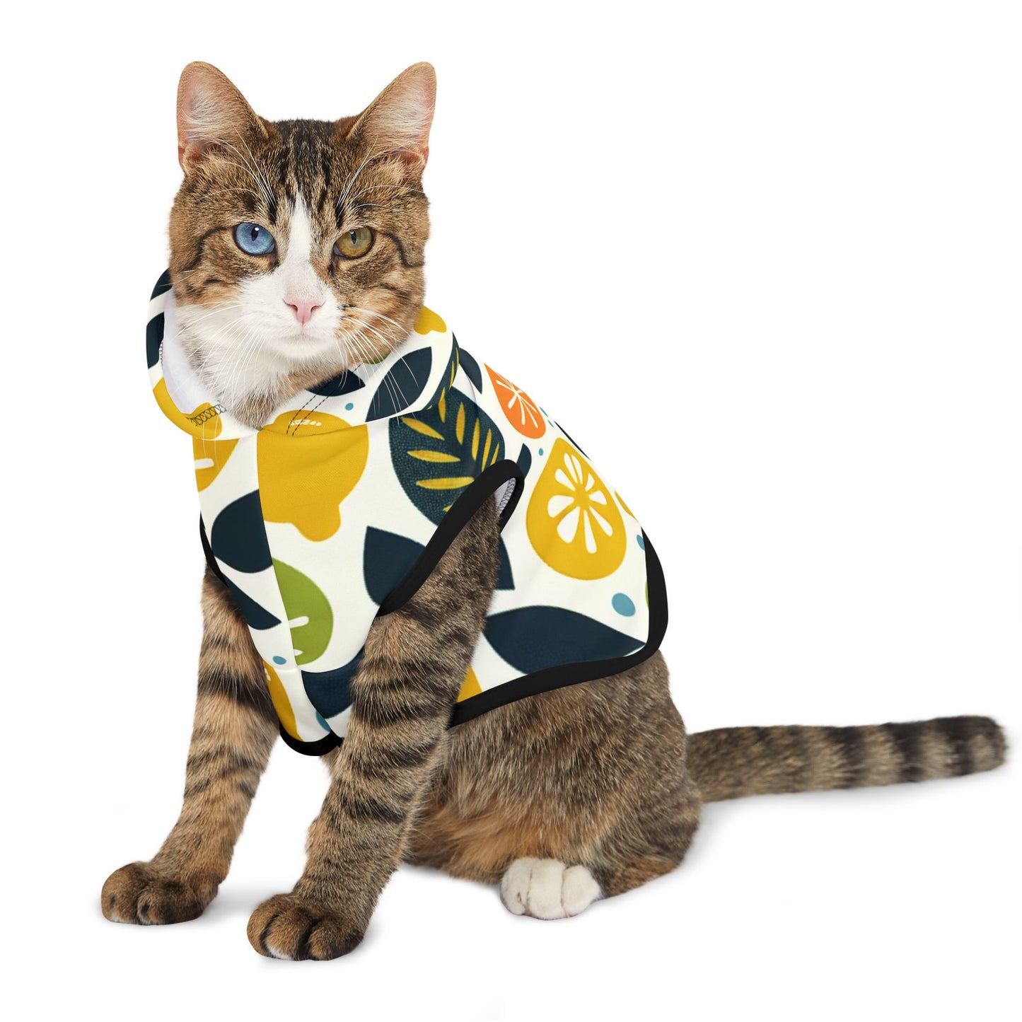 Citrus Pet Hoodie π