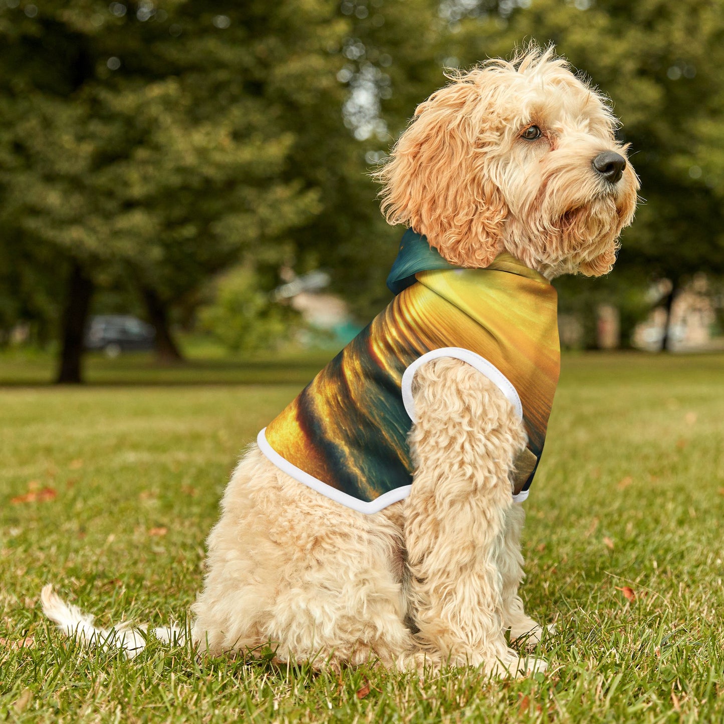 Surreal Sunset Beach Pet Hoodie π