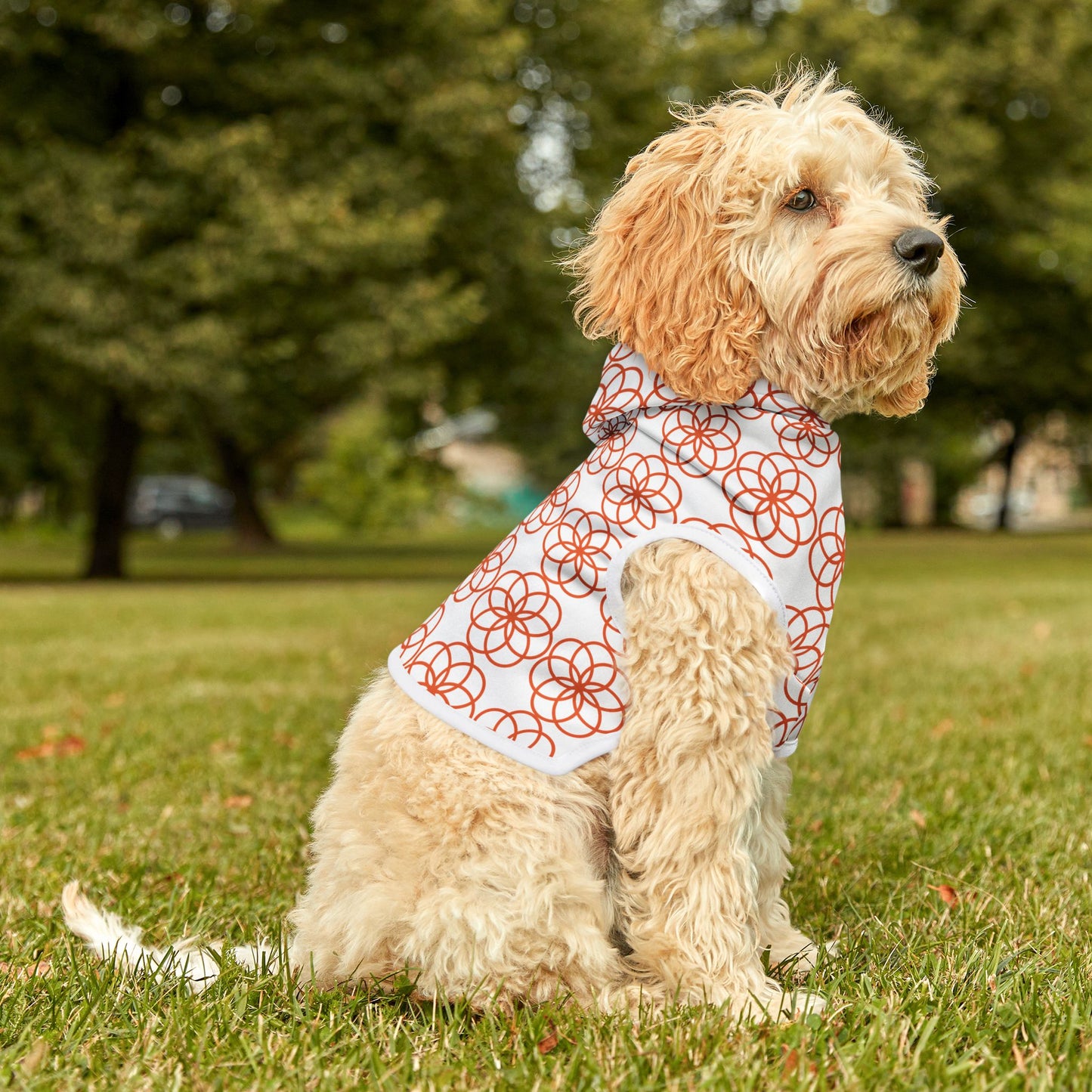 Flower of Life Pet Hoodie ๐ธ