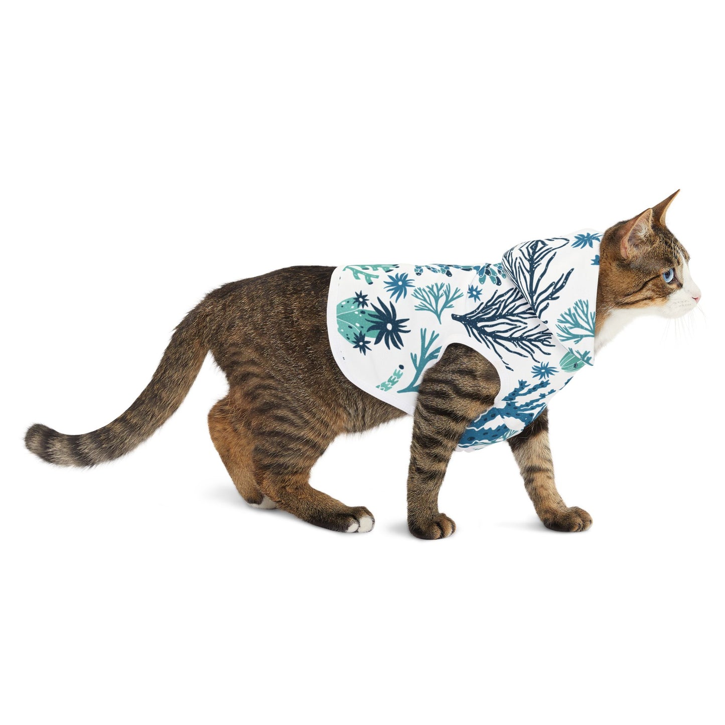 Coral Reef Pet Hoodie ๐