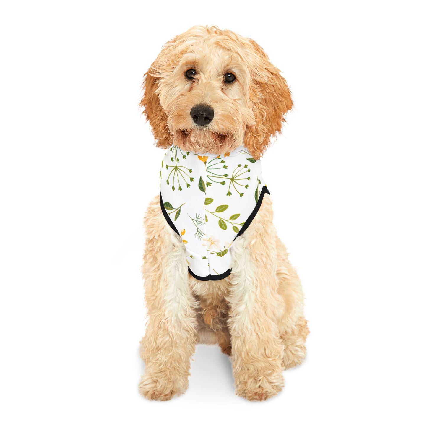 Spring Vibes Pet Hoodie ๐ฟ