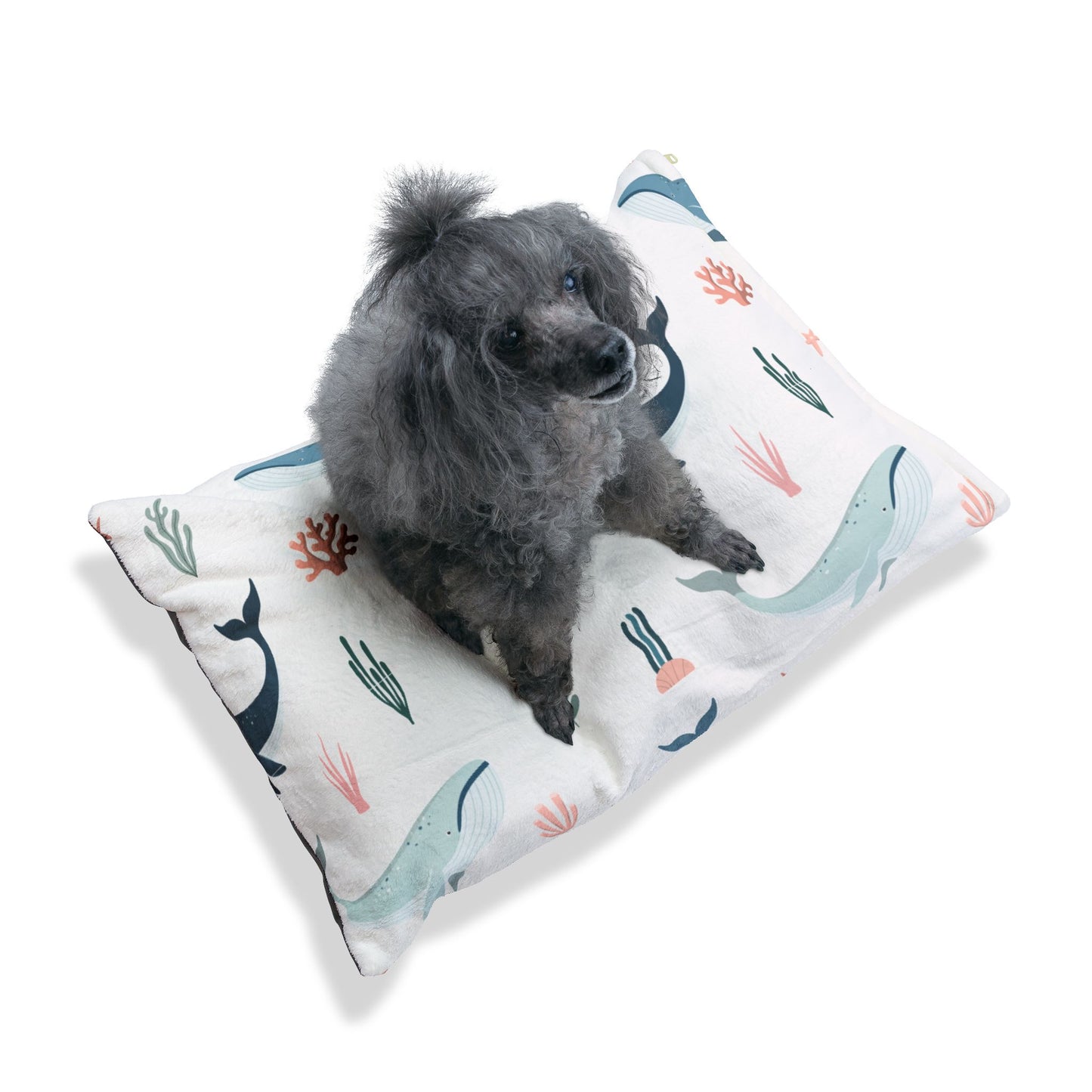 Marine Life Pet Bed π