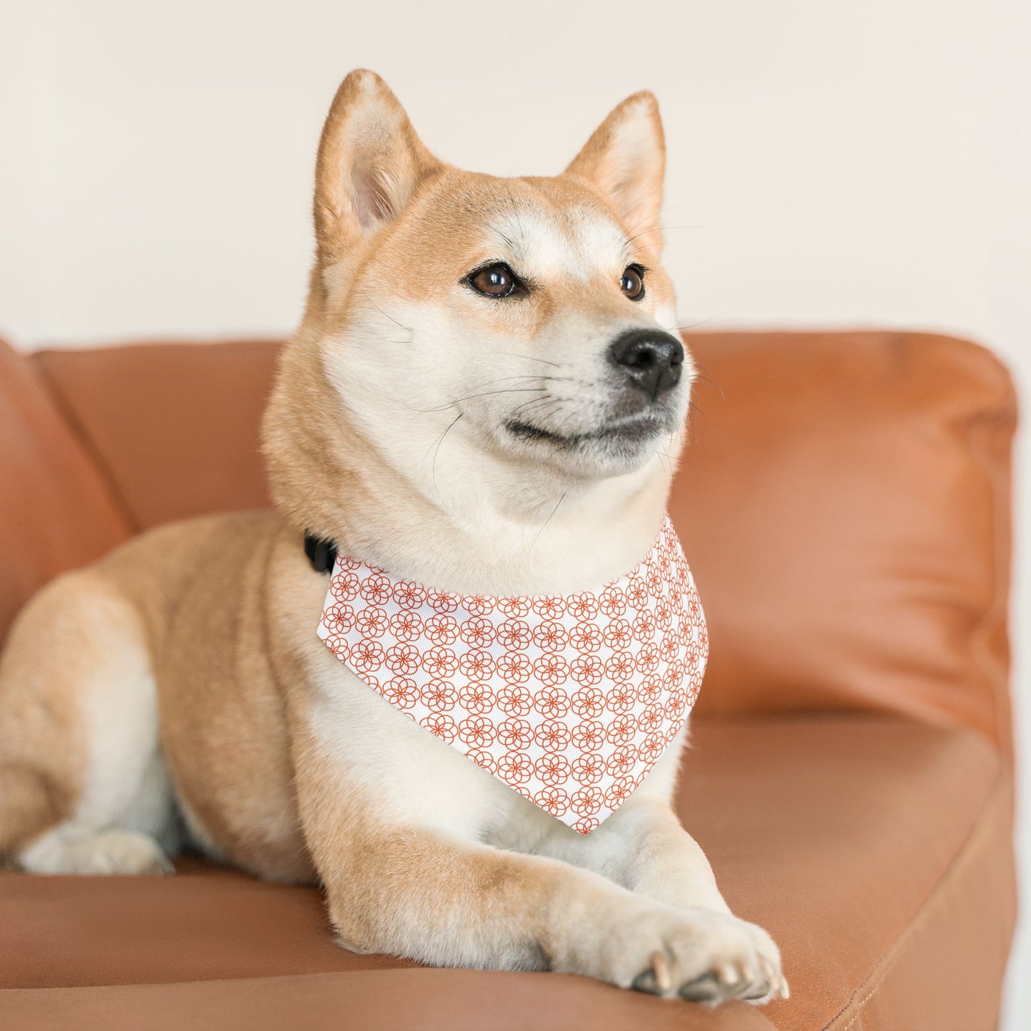 Flower of Life Pet Bandana Collar 🌸