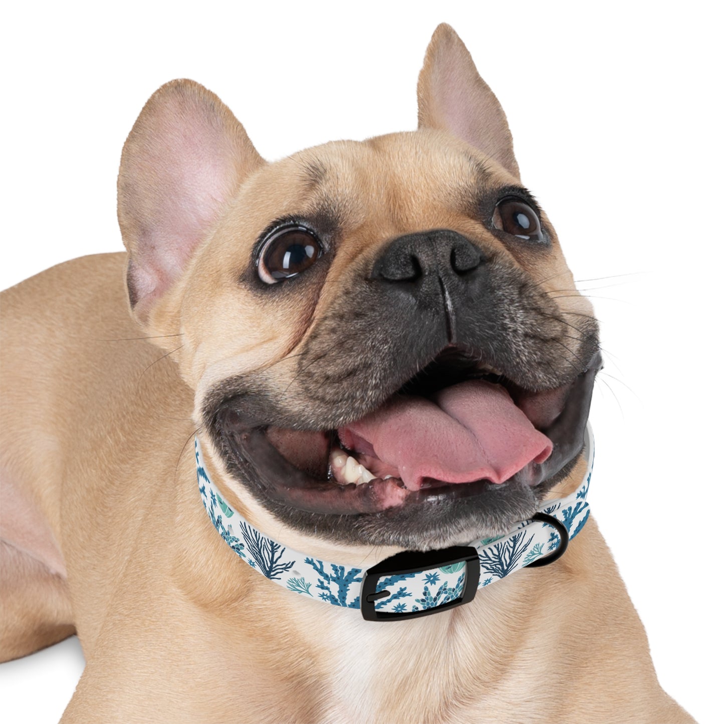 Coral Reef Eco-Friendly Dog Collar 🪸
