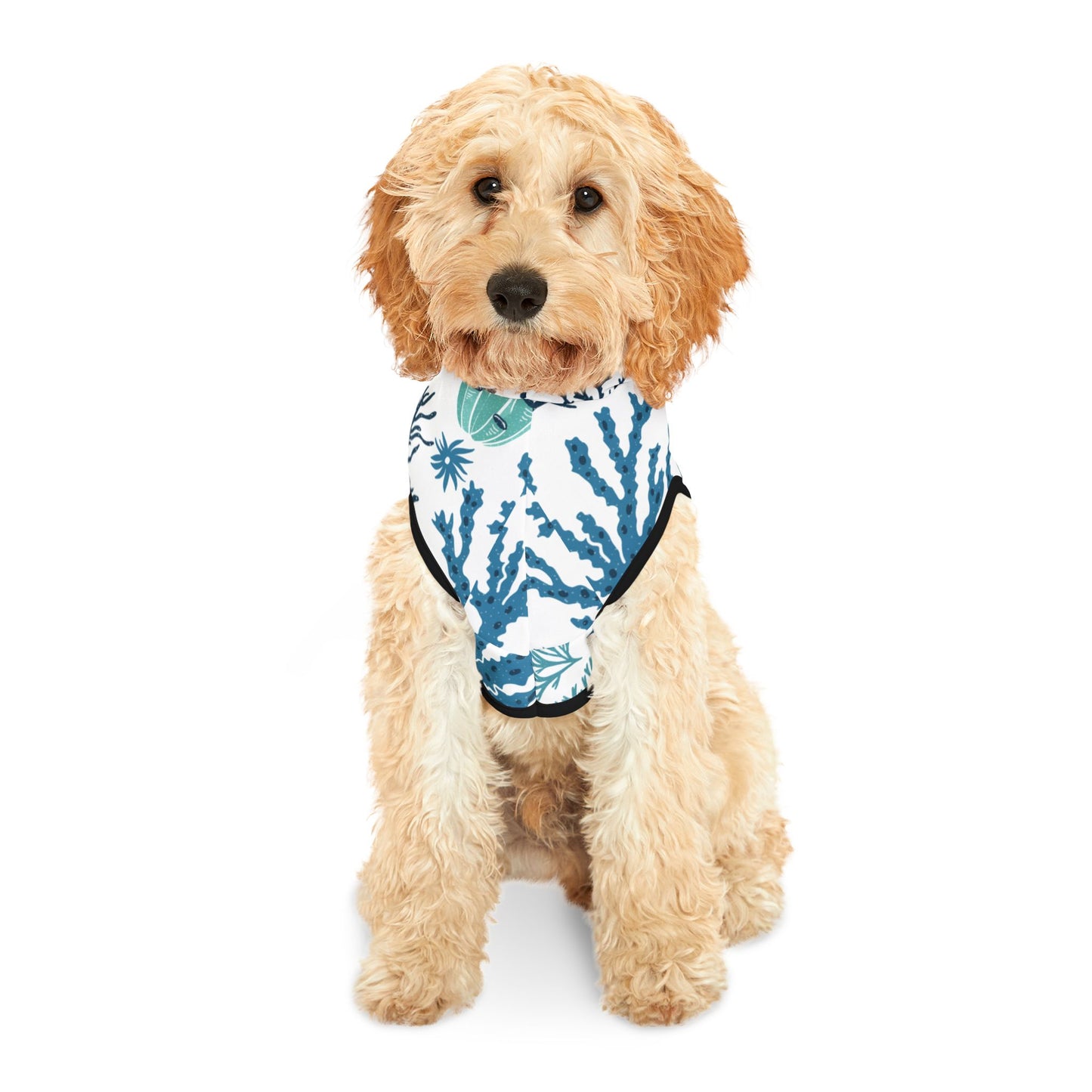 Coral Reef Pet Hoodie ๐